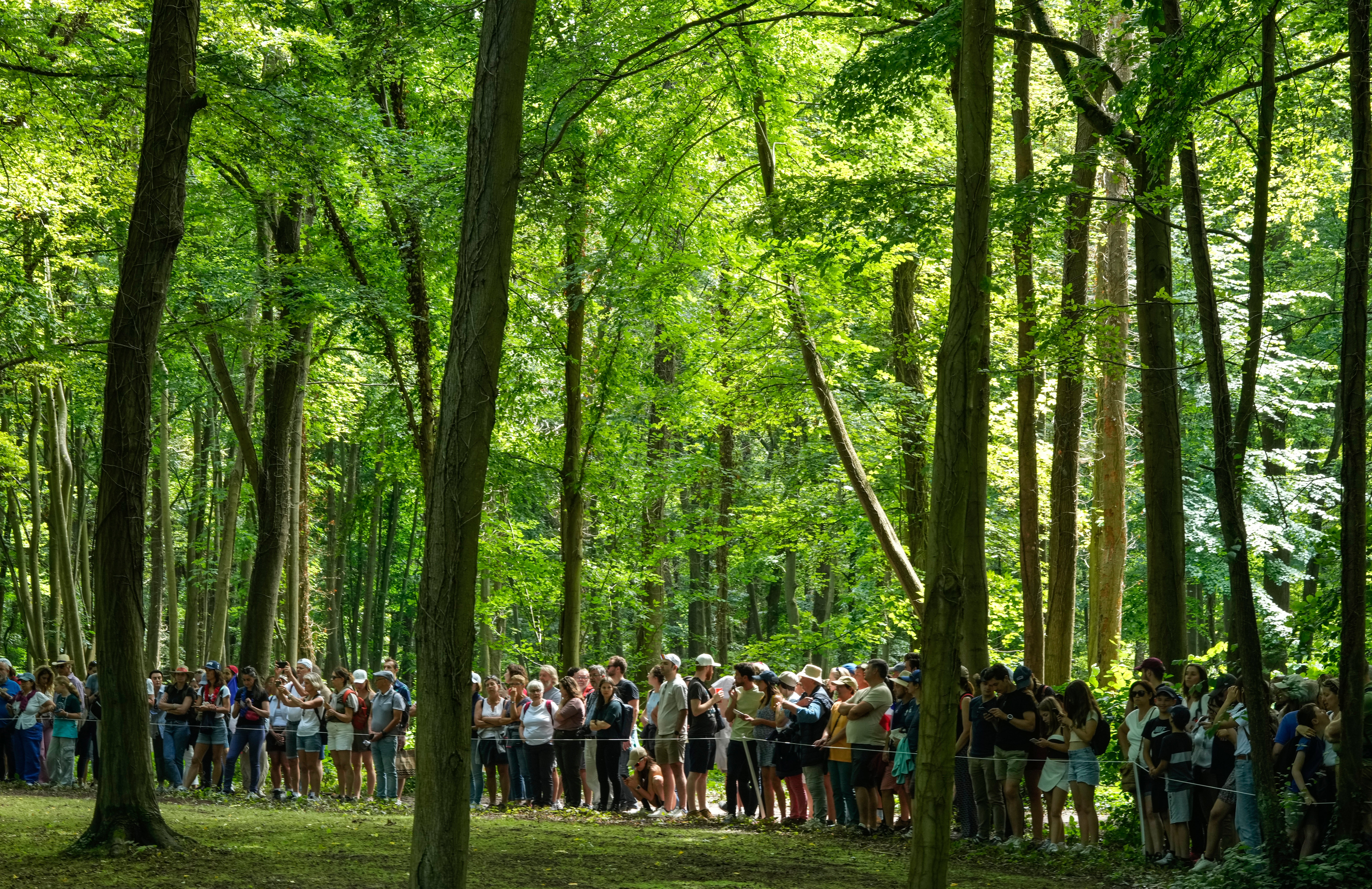 Paris Olympics Equestrian