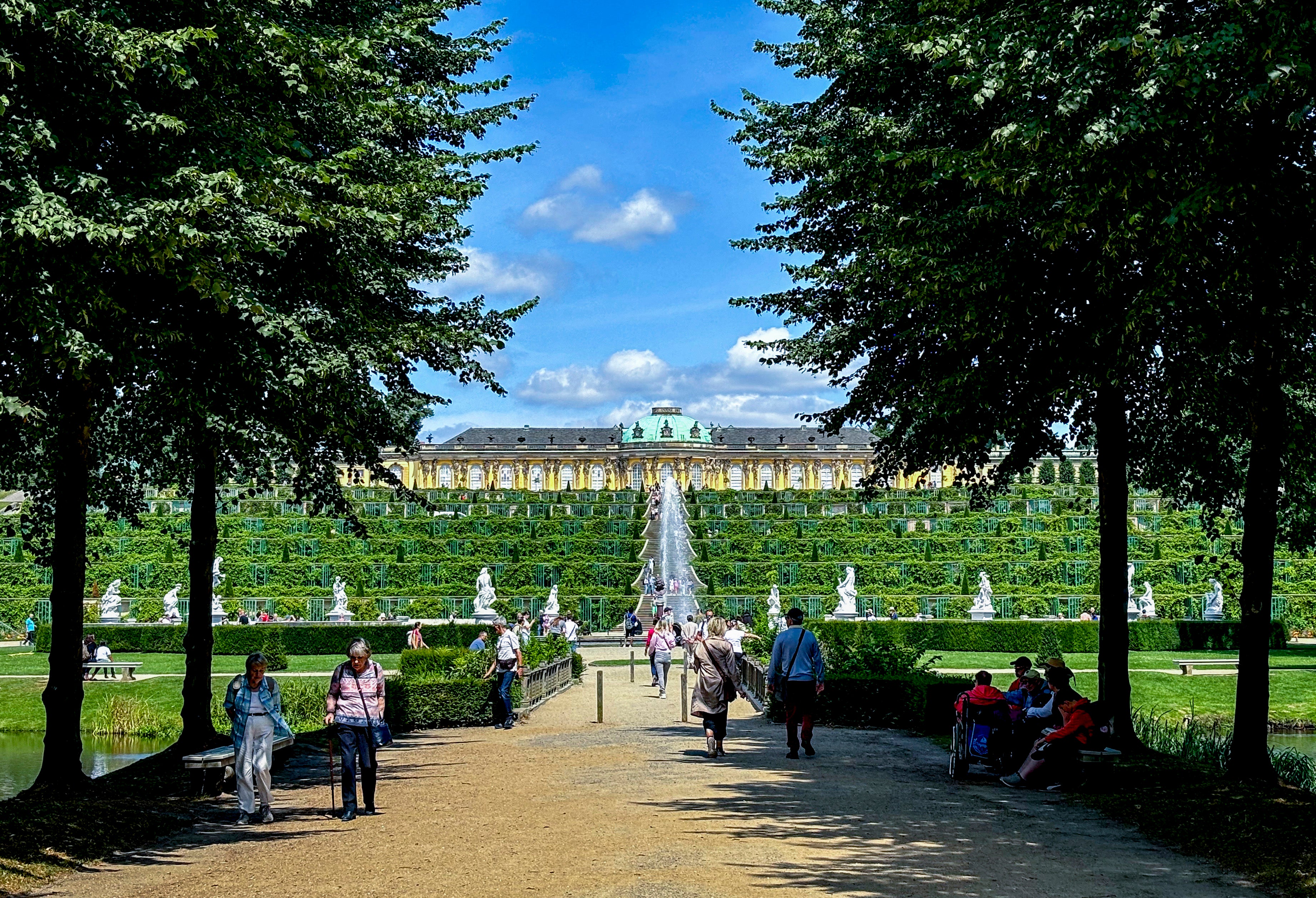 Climate Germany Sanssouci Trees