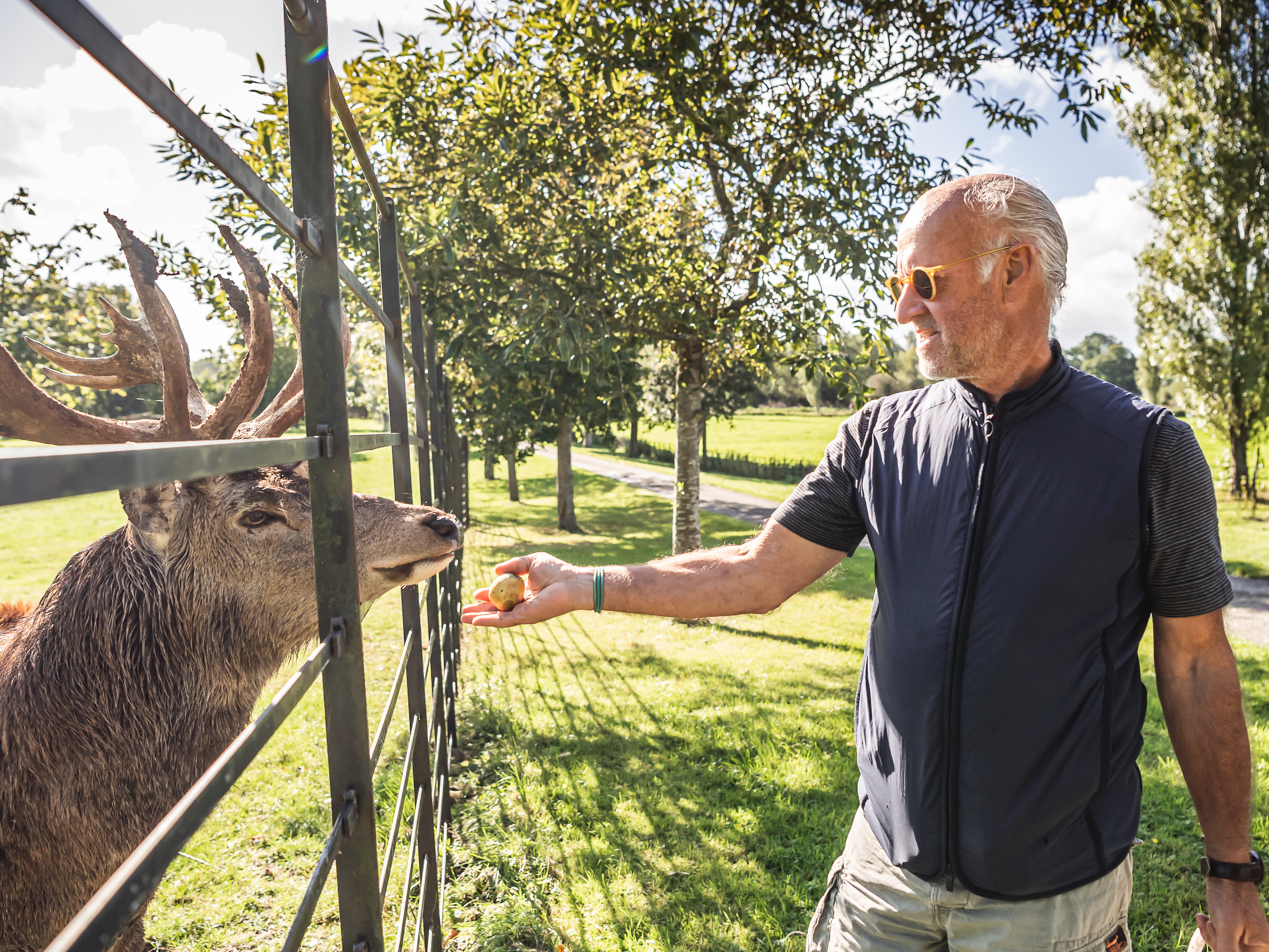 Deer me: Saul on his Sharpham Hall estate