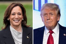 Russia backs Trump and Iran supports Harris in efforts to influence the election, US intelligence says