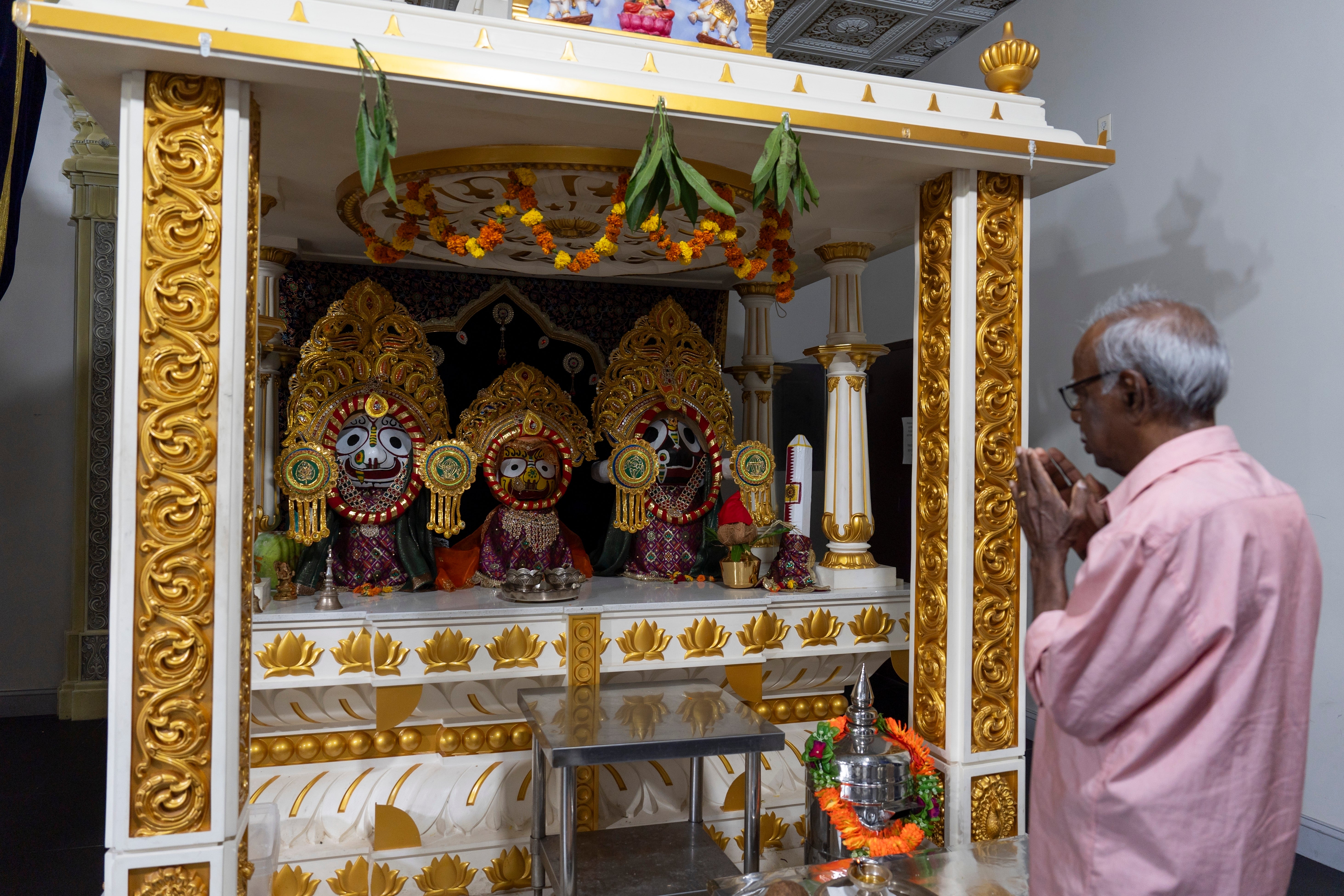 Election 2024 Harris South Asians