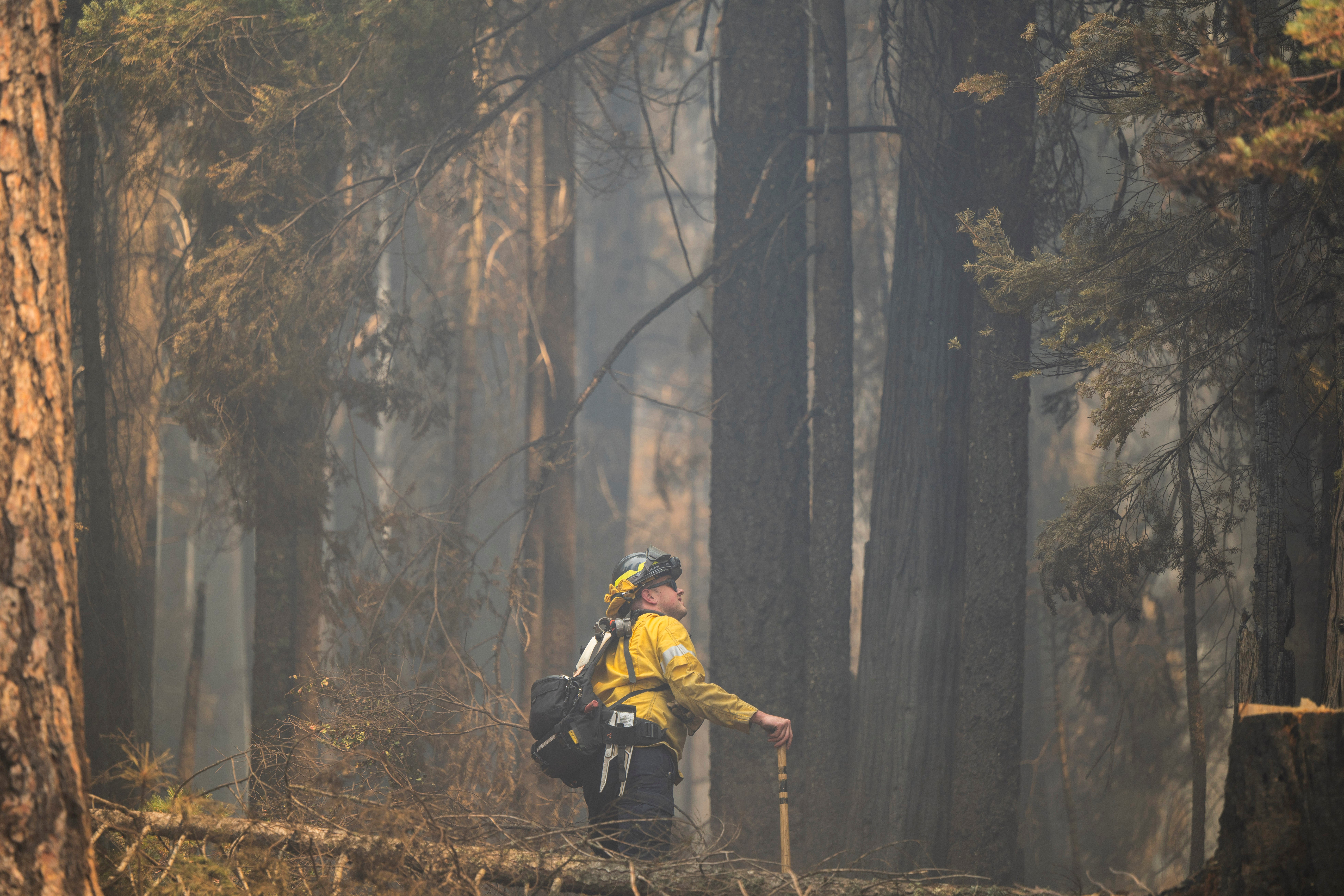California Wildfires