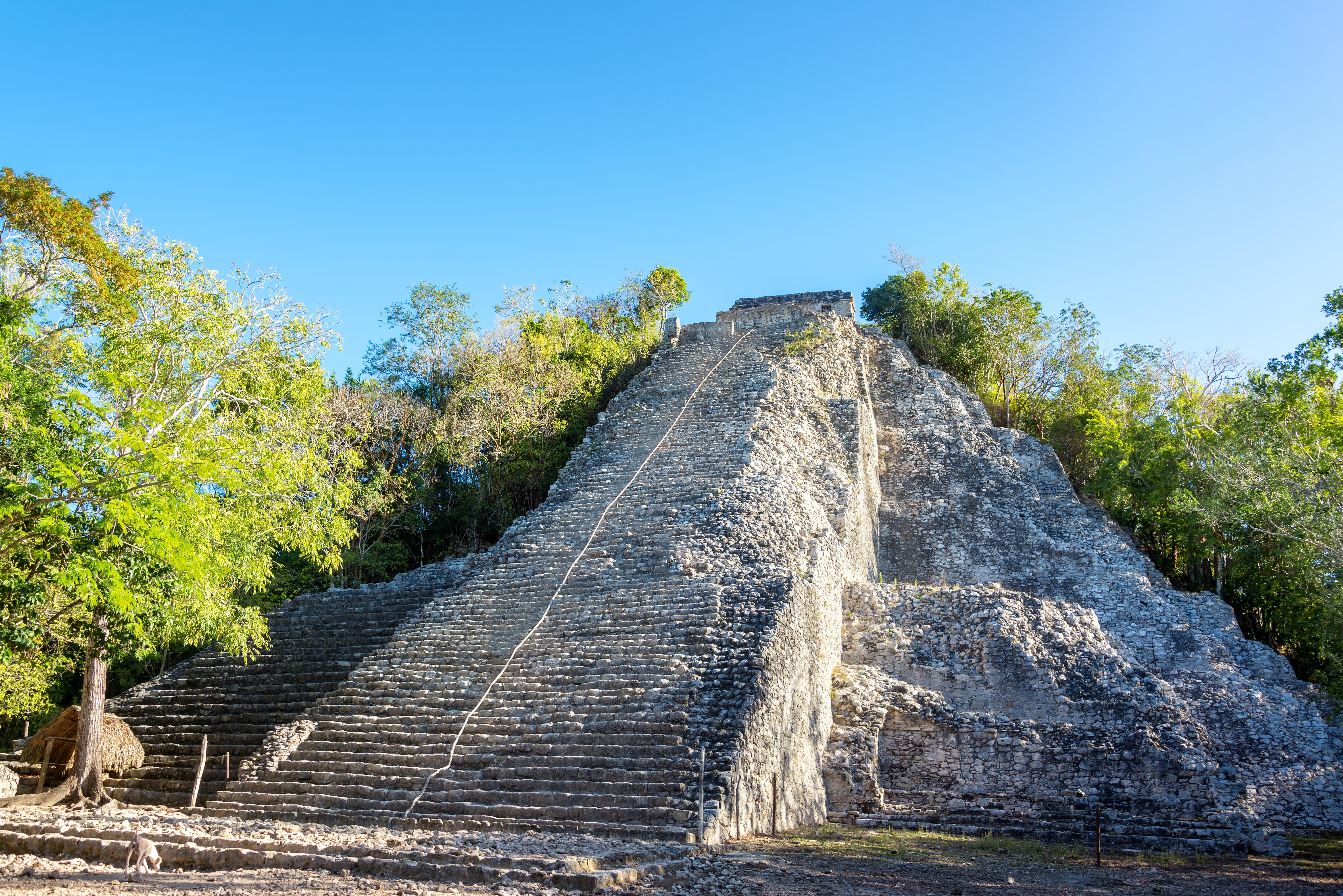 Coba is home to one of the tallest Mayan pyramids