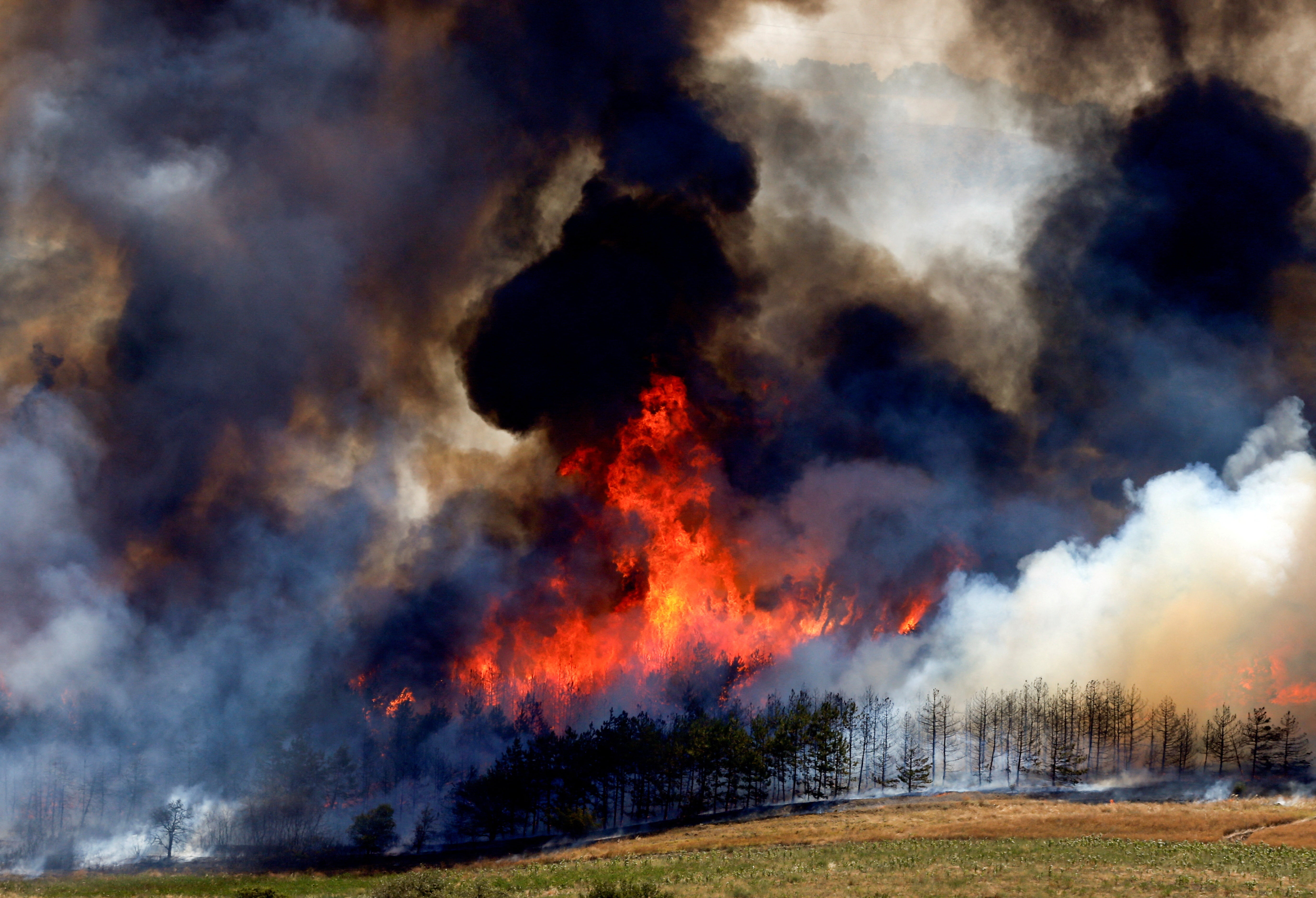 A forest fire rages near Kumanovo, North Macedonia July 30, 2024