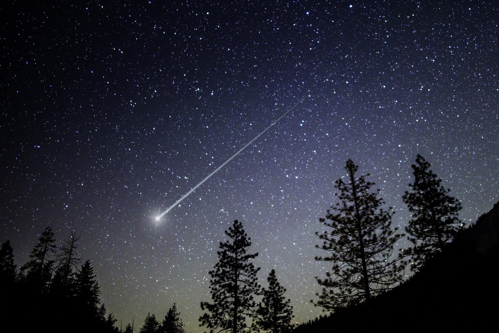 The Perseid meteor shower, which peaks in mid-August, is considered the best celestial spectacle of the year