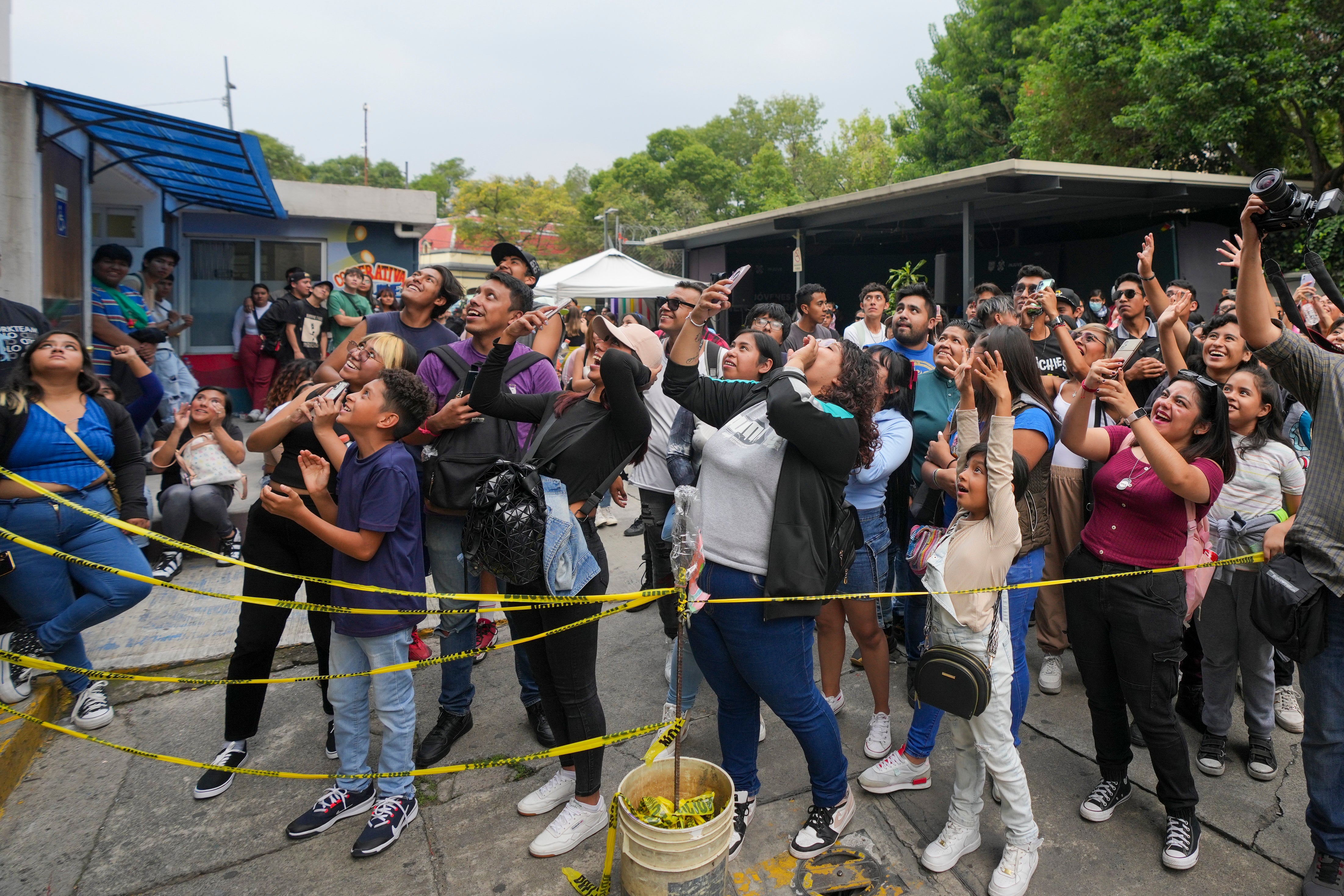 Mexico Puppy Fighter