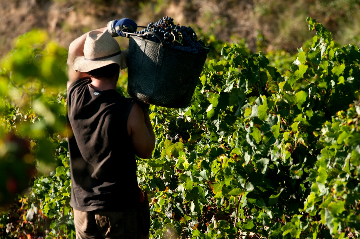 ‘Have you ever stopped to think about the people who form the most vital cog in the winemaking machine?’