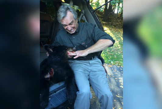 RFK Jr is seen next to a dead bear cub that he dumped in Central Park in 2014