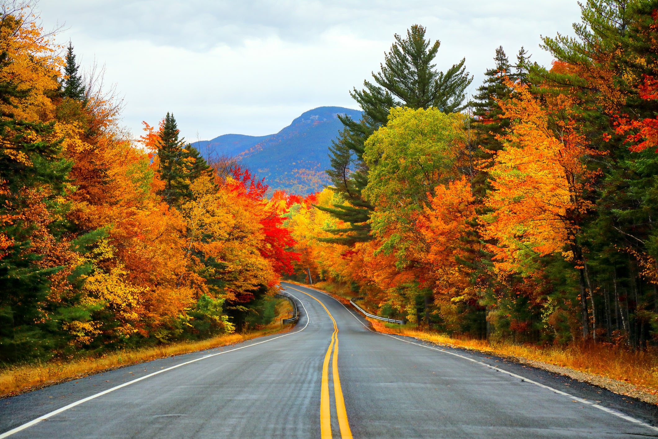 Roadtrip from Boston to Cape Cod to see the leaves turn orange