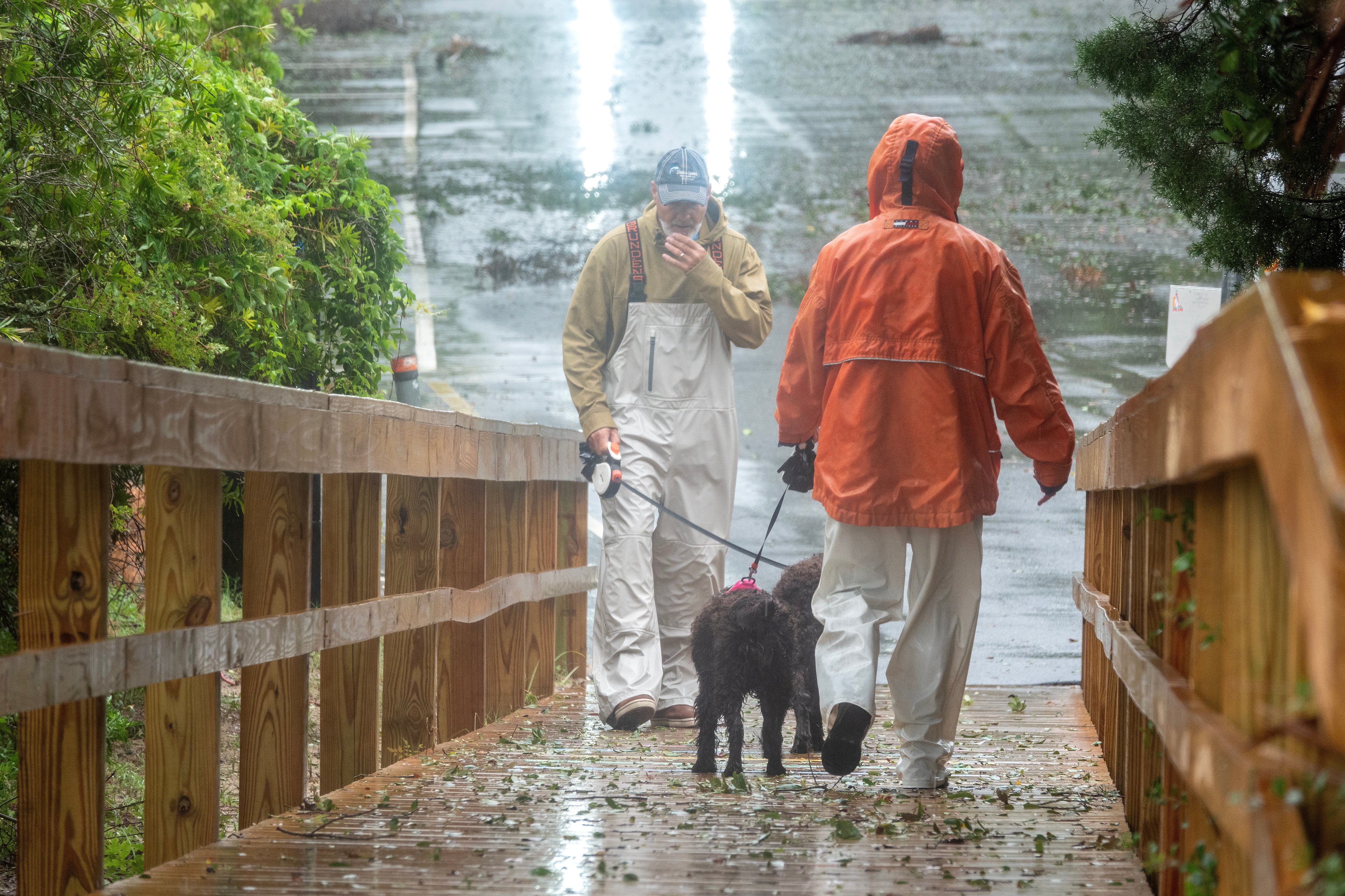 Two Savannah, Georgia residents walk their dogs as rain from Tropical Storm Debby pelts their state