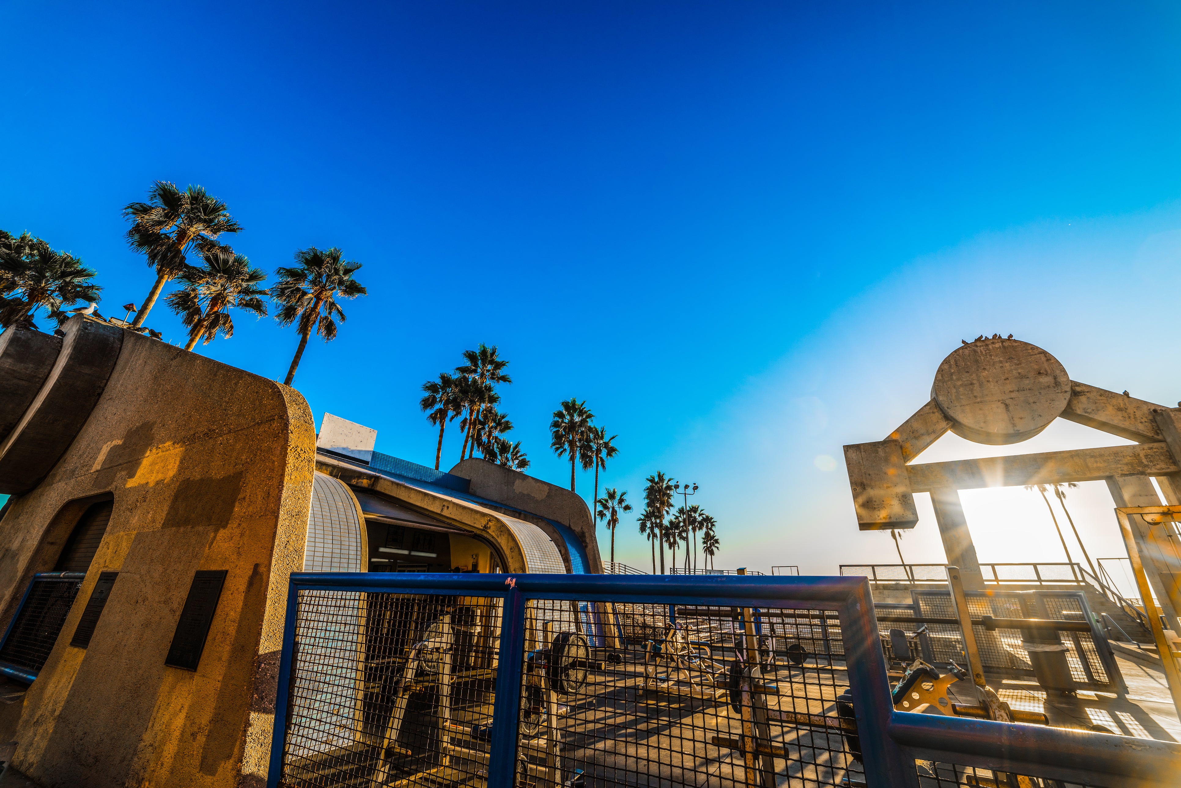 Muscle Beach is a haven for body-building aficionados