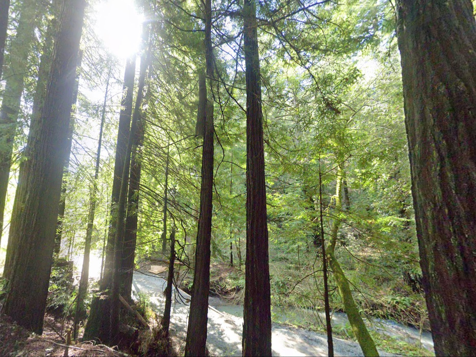 A wooded area near Eureka Canyon Road and Grizzly Flat Road near Watsonville, California, where the body of Lizbeth Arceo Sedano, 25, was located on August 4, less than 24 hours after she was reported missing by police