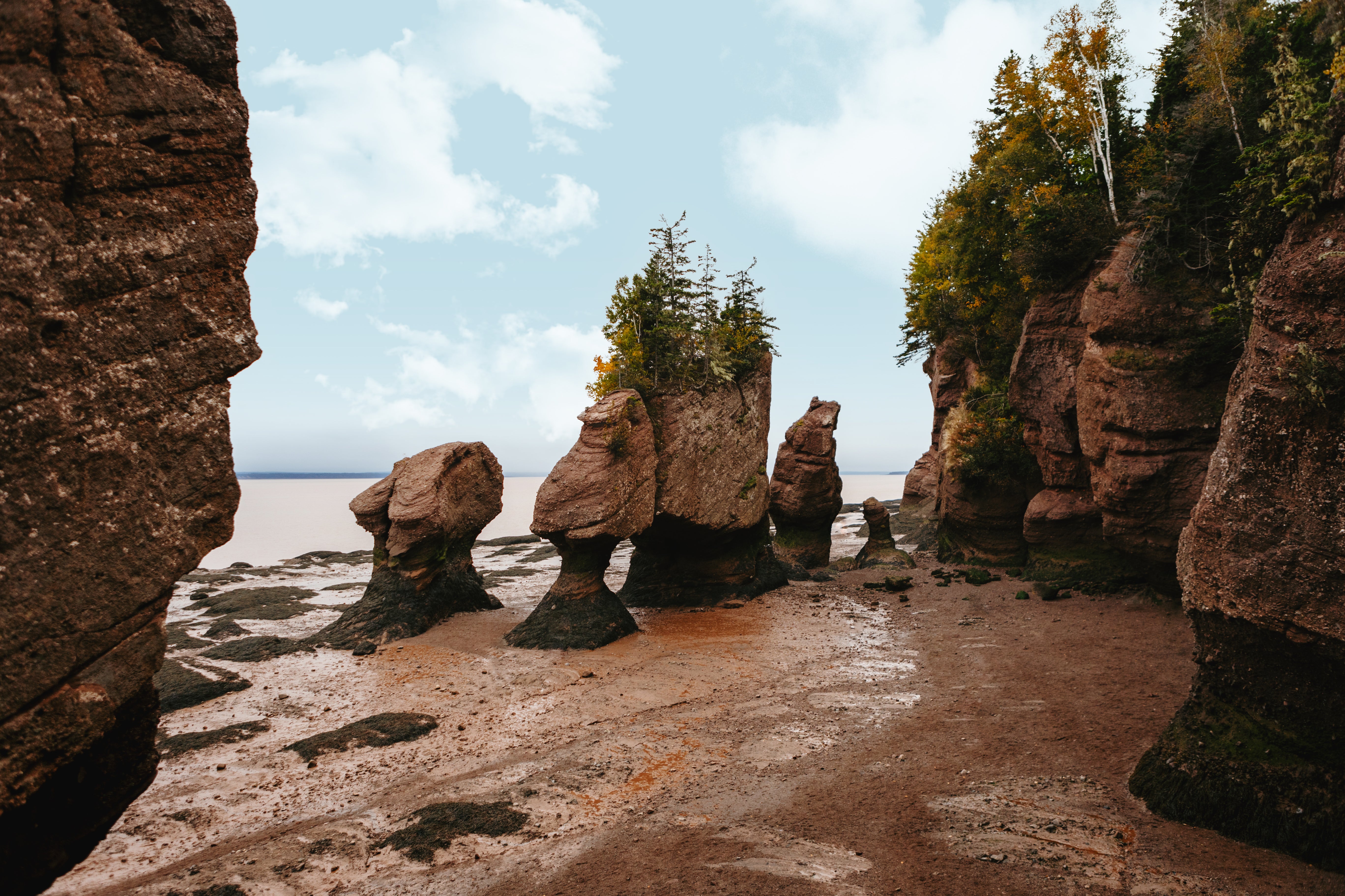 Hopewell Rocks Provincial Park, with sea stacks caused by tidal erosion