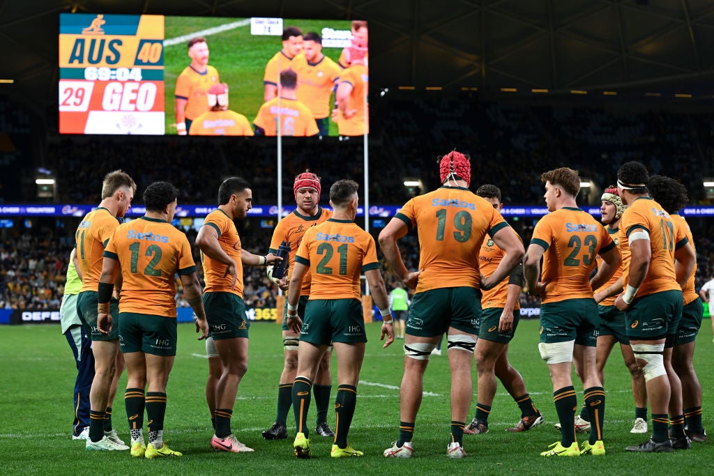 The Wallabies are coming off the back of summer Tests against the likes of Wales and Georgia