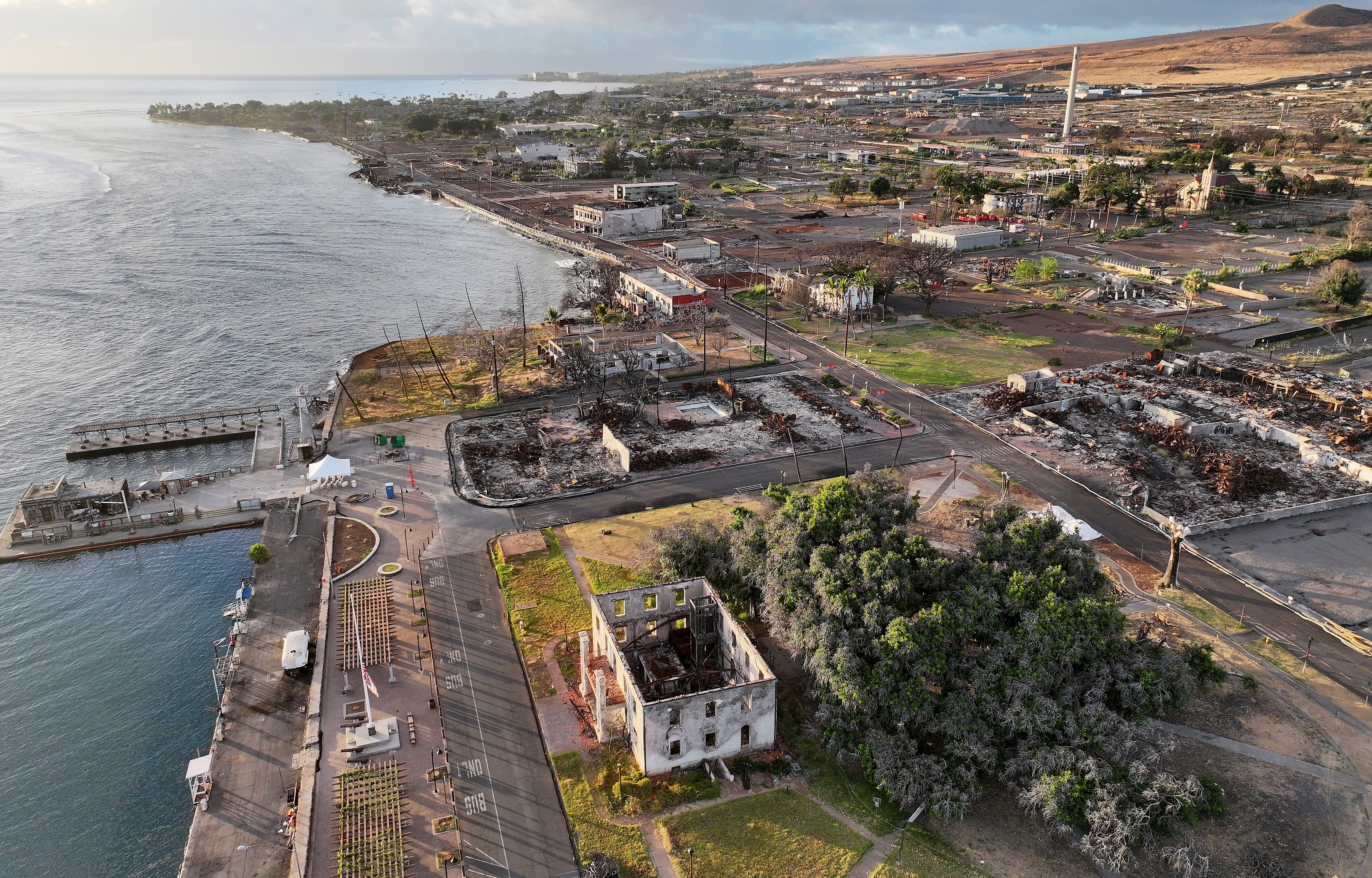 An aerial view of the recovering historic banyan tree and surrounding area located in Lahaina shows the devastation caused by rampant wildfires last August