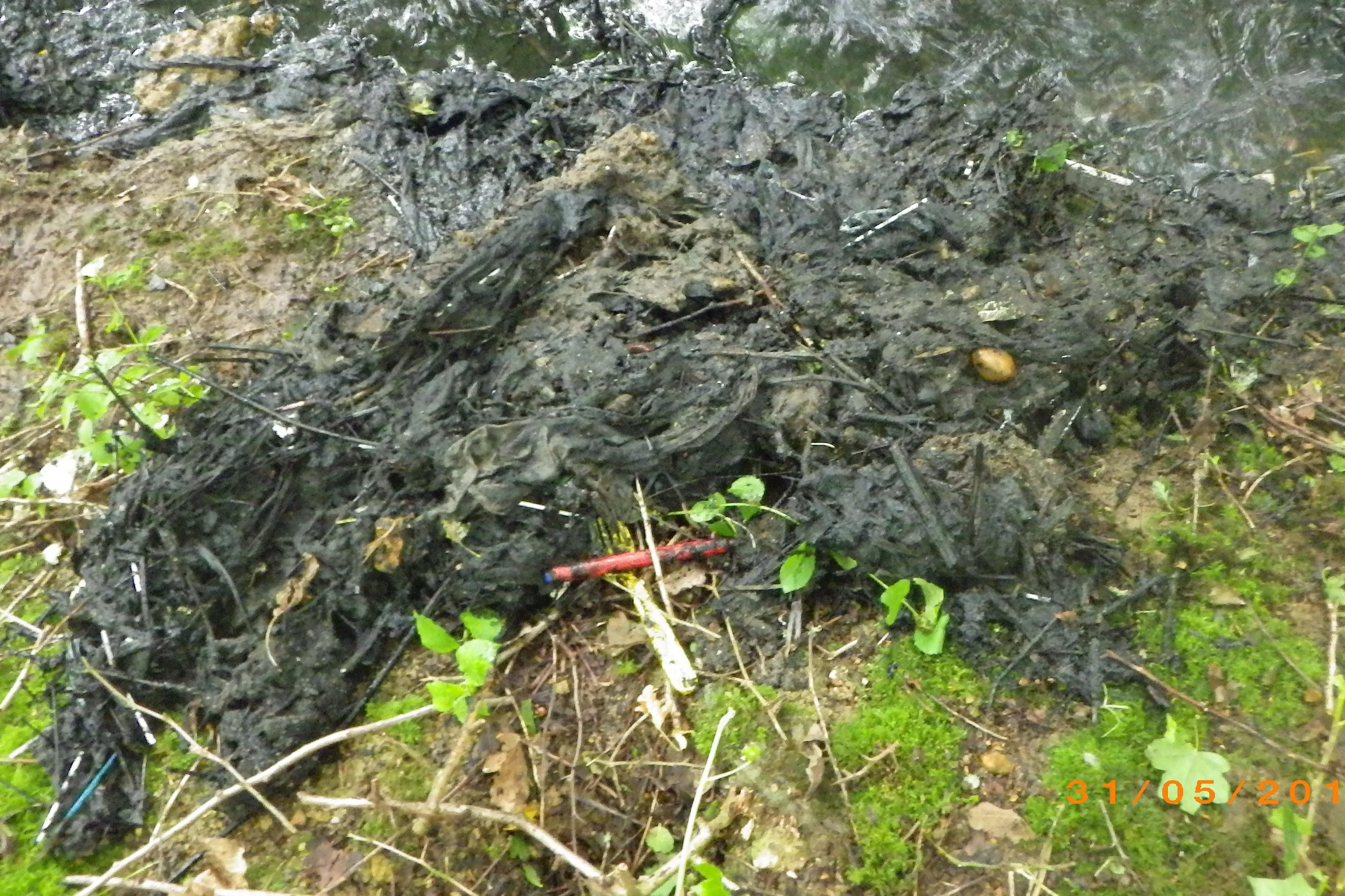 Raw sewage that was dumped into a river (Environment Agency/PA)