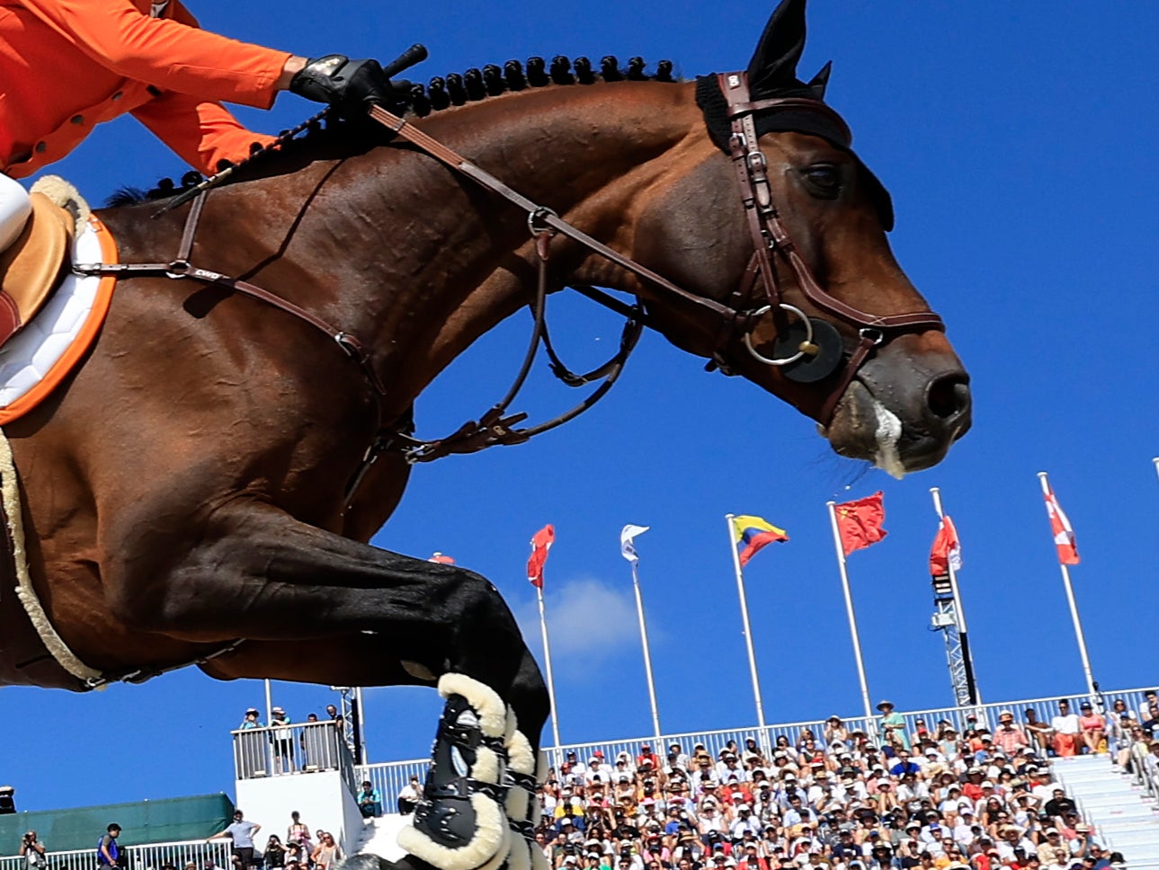 White foam could be seen at some horses’ mouths