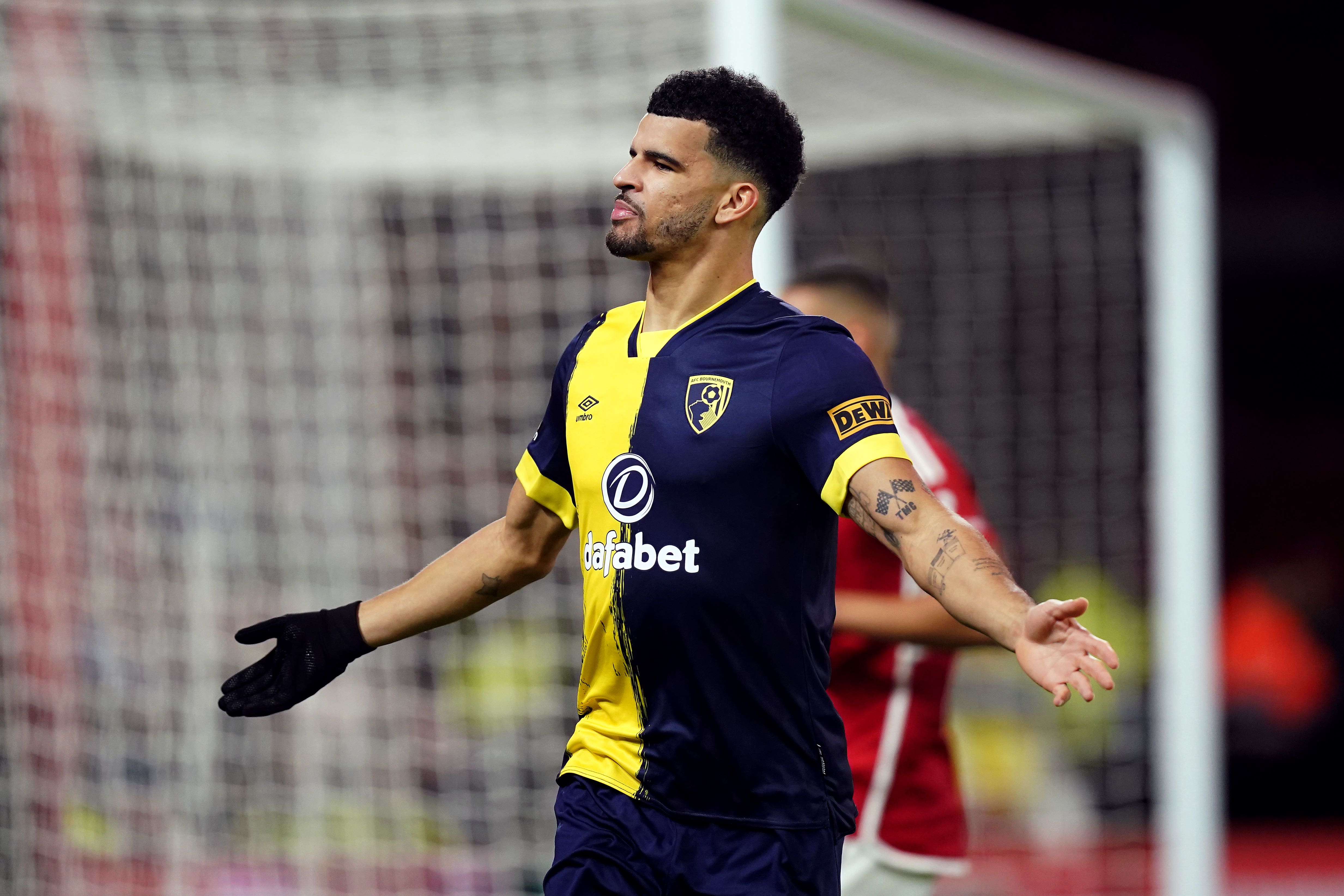 Dominic Solanke has joined Tottenham (Mike Egerton/PA)