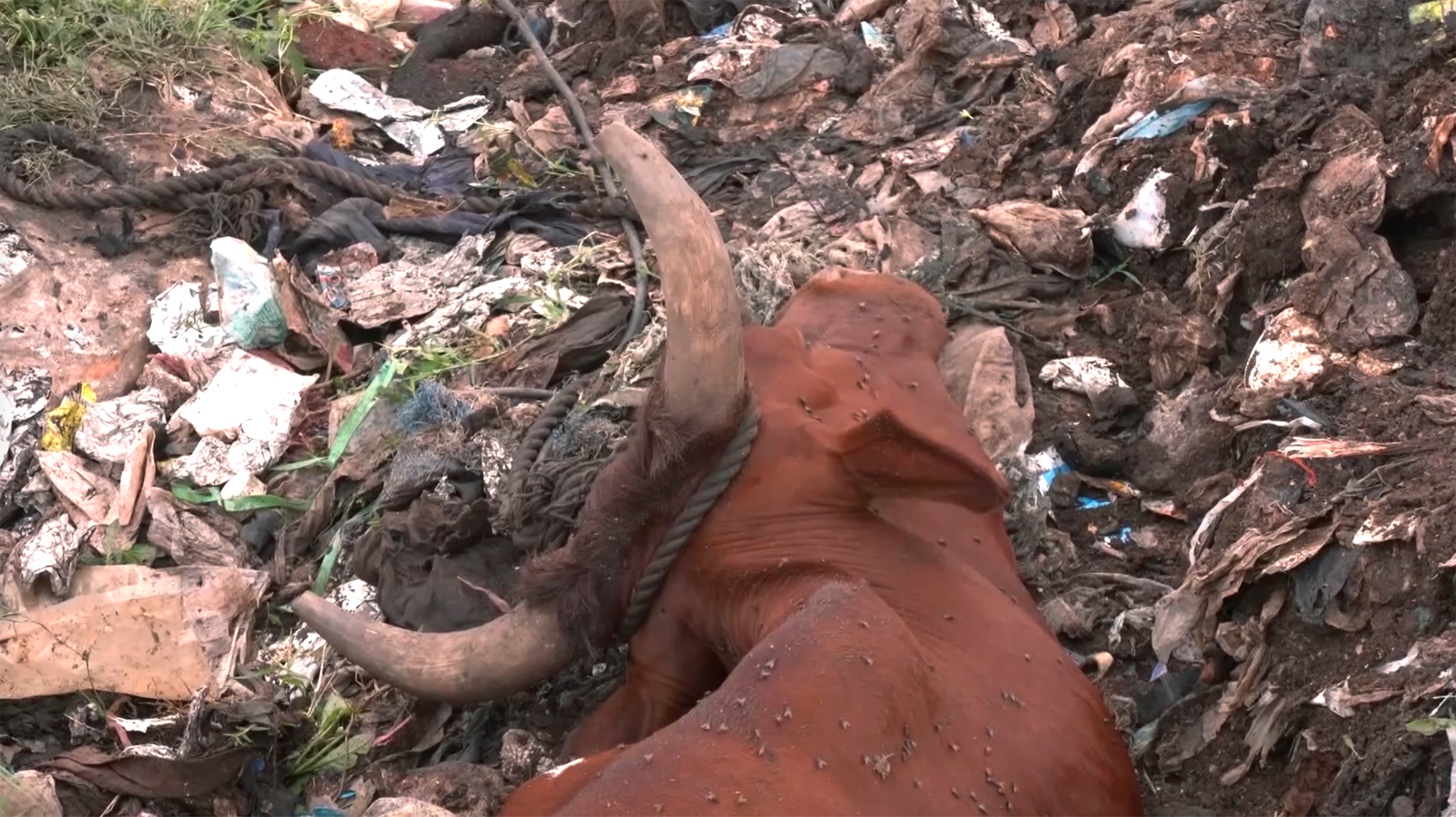 Uganda Collapsed Landfill