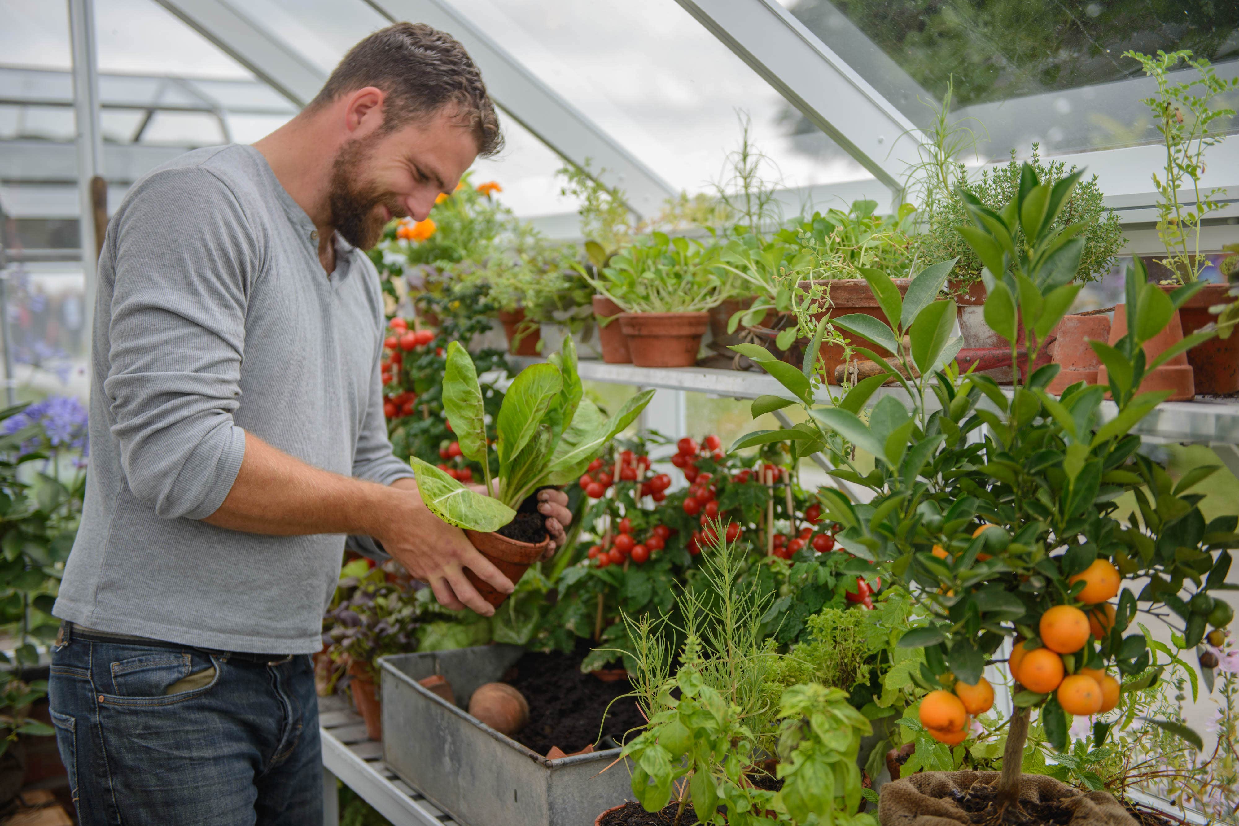 Some greenhouses may need a daily visit (Hartley Botanic/PA)