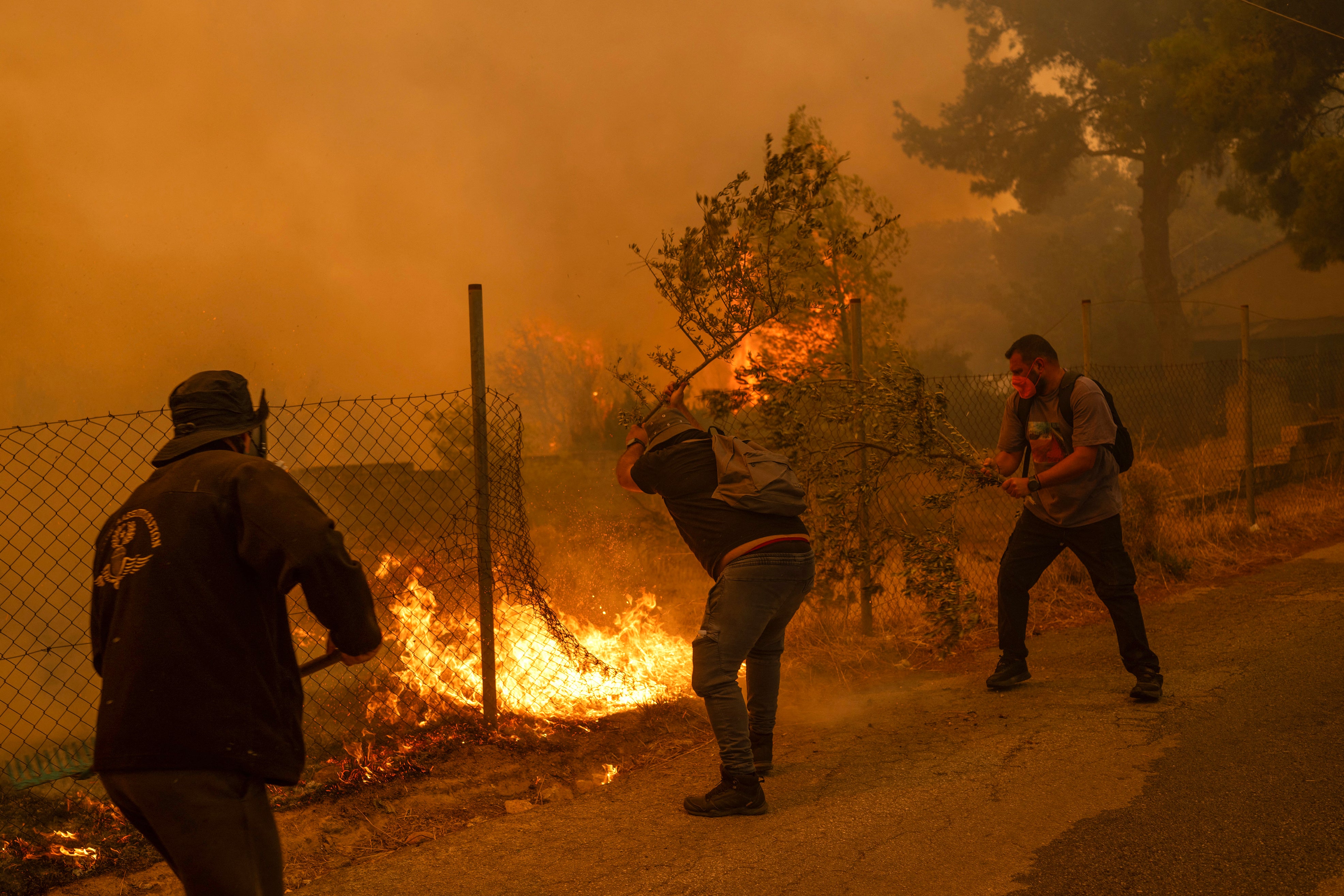 Local resident tryi to dominate the flames using branches during a wildfire near Penteli