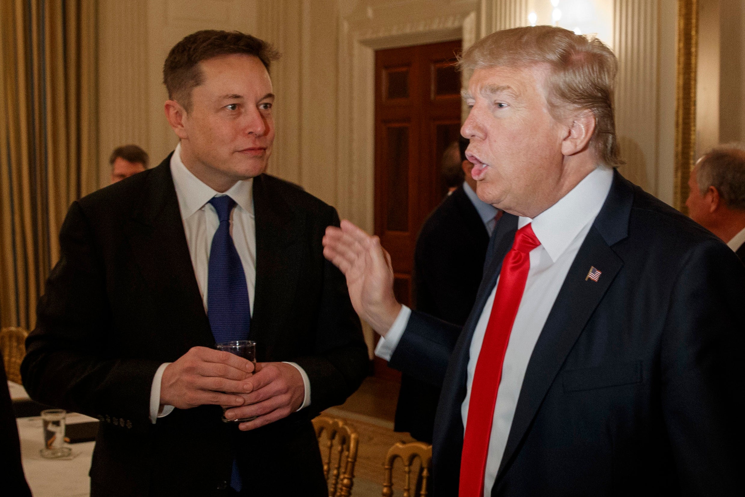 Elon Musk has suggested he would take up a second role in a Donald Trump administration