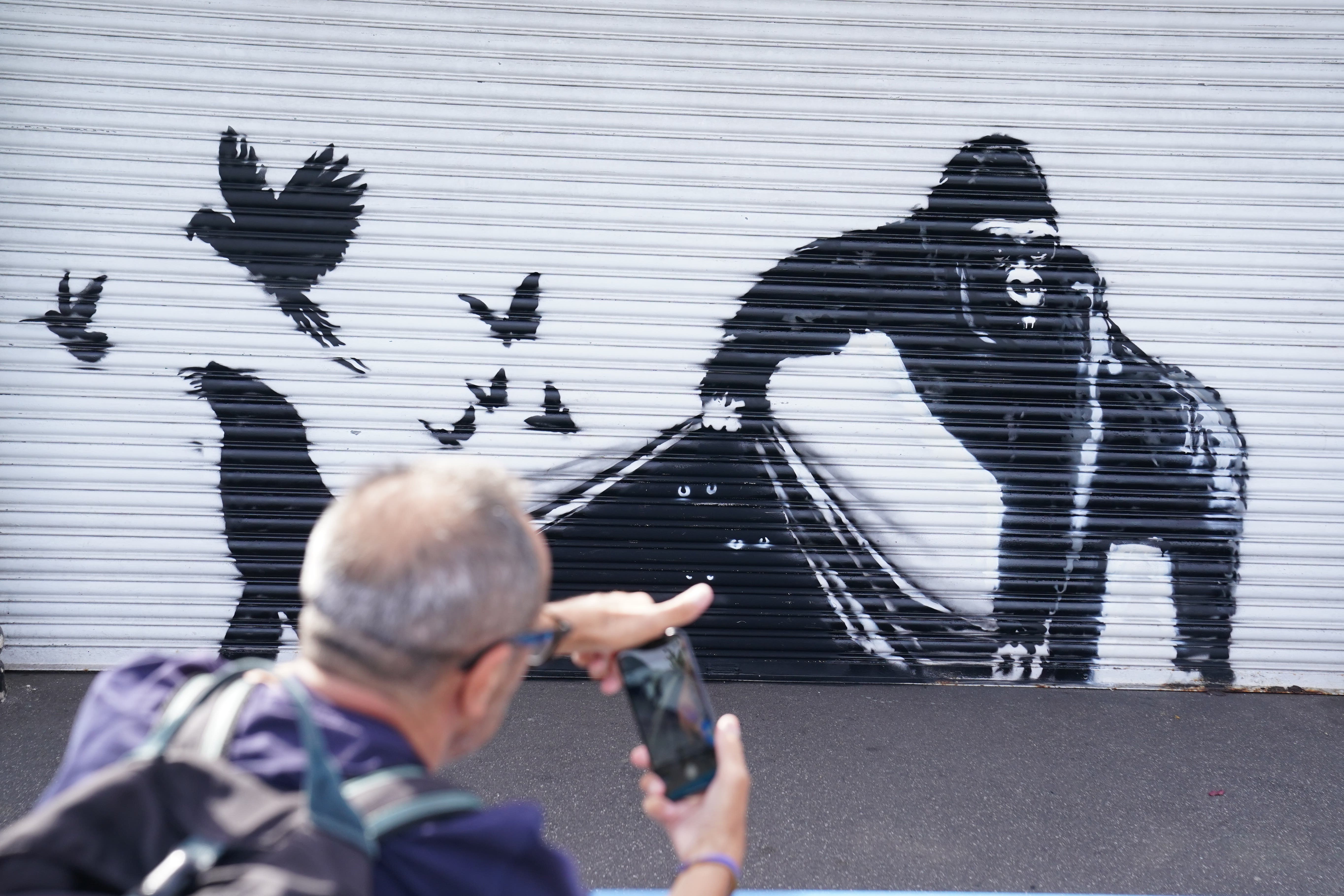 The primate-led escape on the shutters of London Zoo