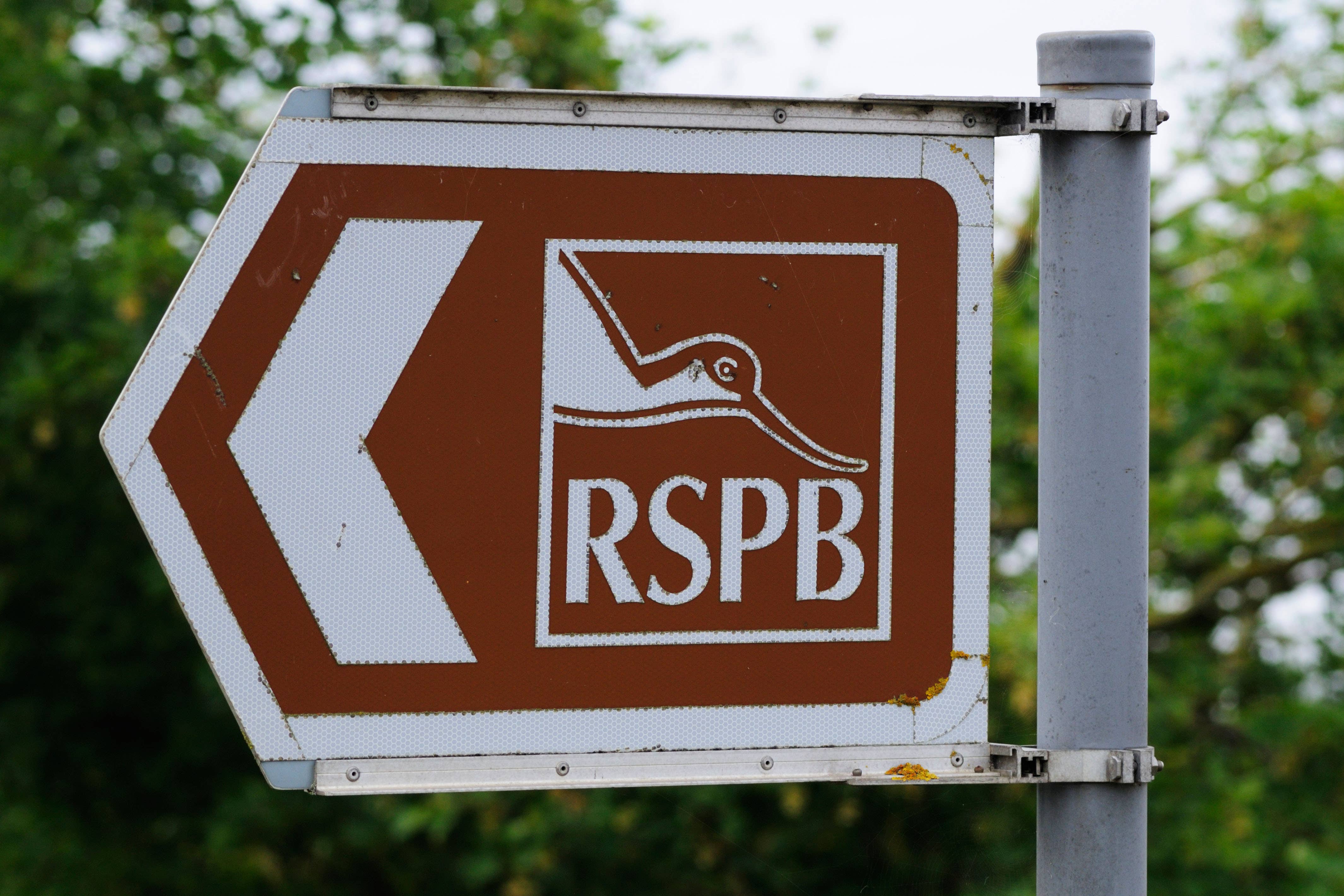 The Charity Commission gave its findings on a social media post by the RSPB (Alamy/PA)