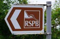 Watchdog: RSPB online post branding Sunak and Gove ‘liars’ was inappropriate