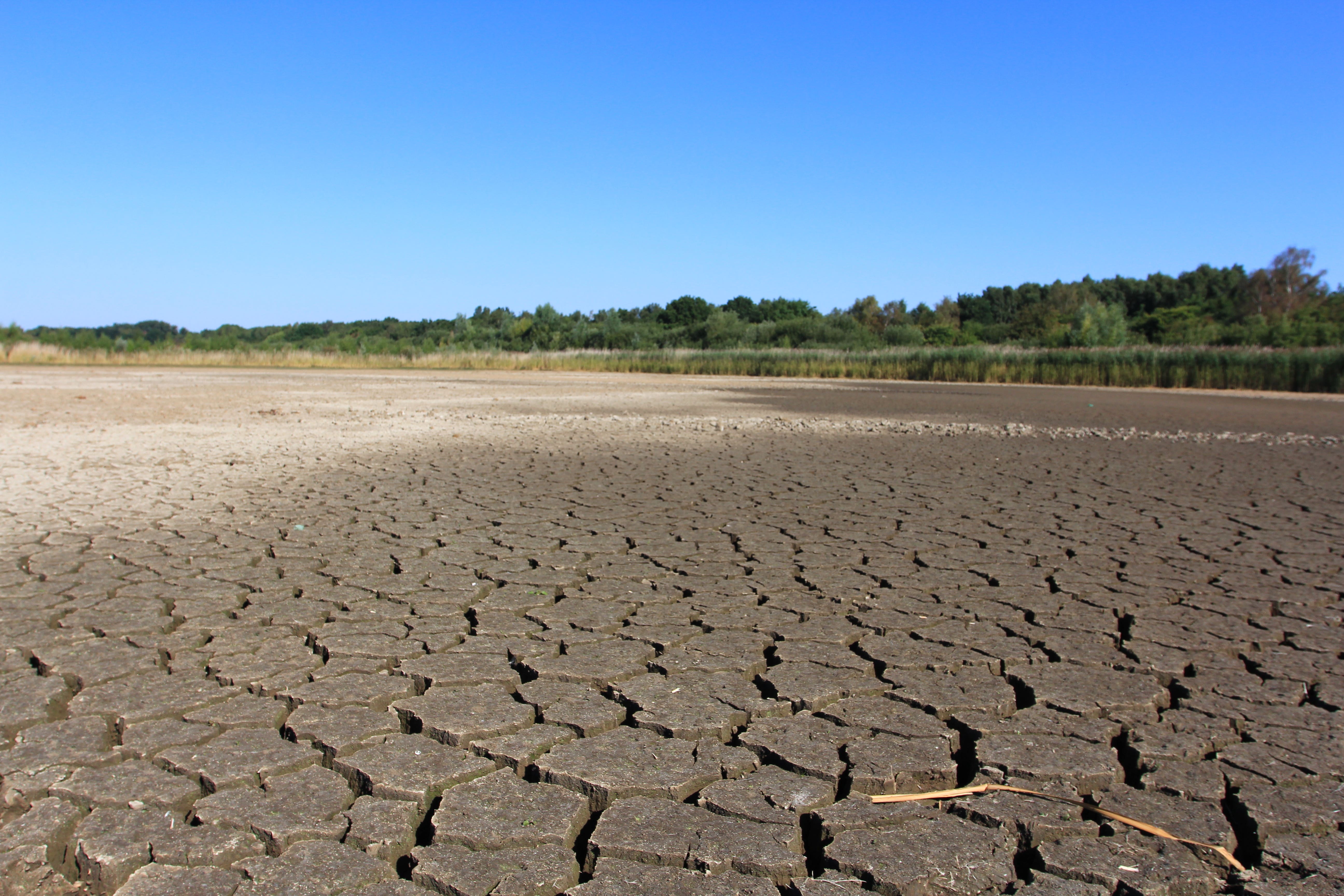 Dried-up wetland ‘scrape’ at Potteric Carr, near Doncaster (Jim Horsfall/PA)