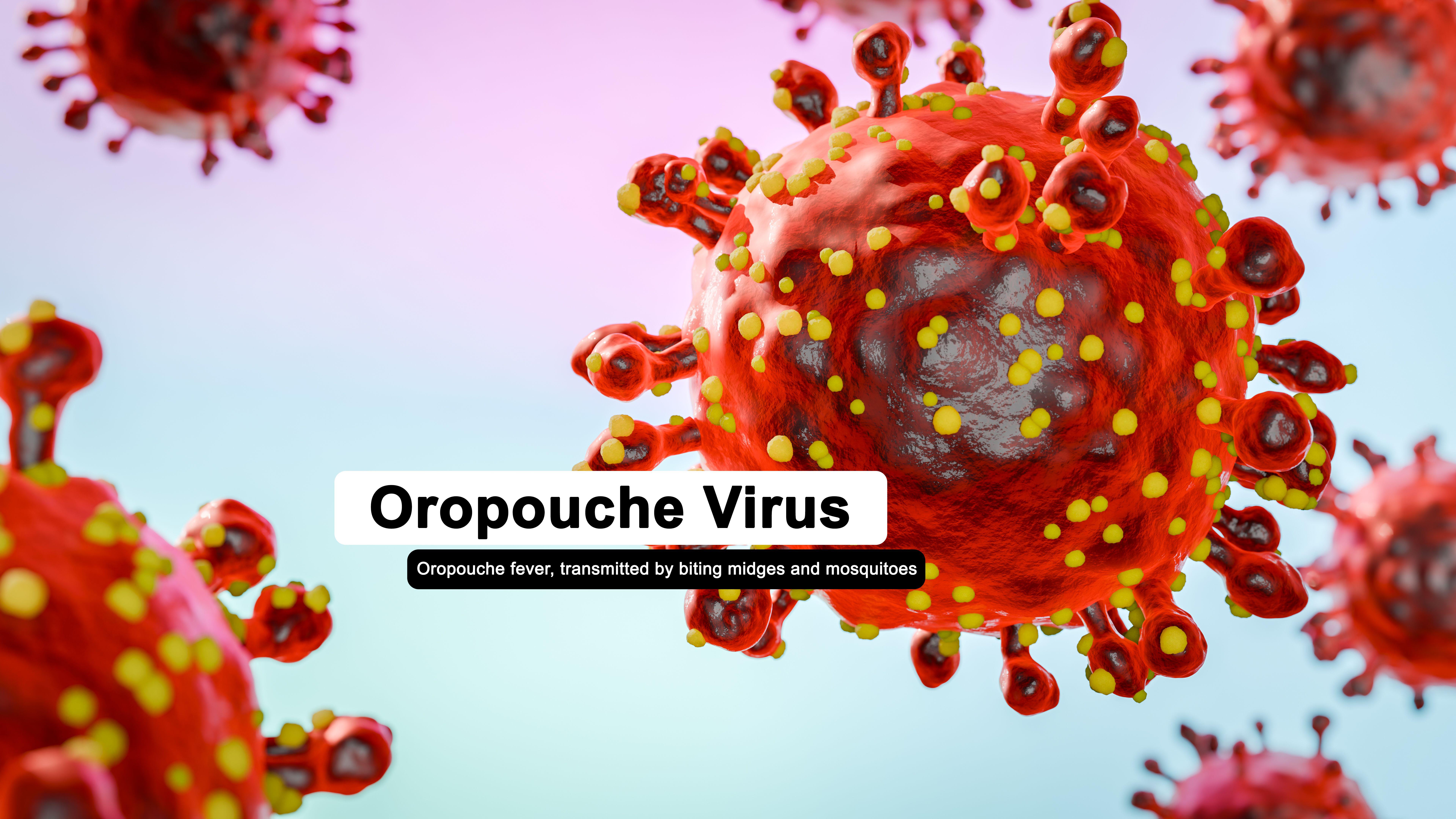 Illustration of the oropouche virus that causes Oropouche fever, an emergent disease from the Americas (Alamy/PA)