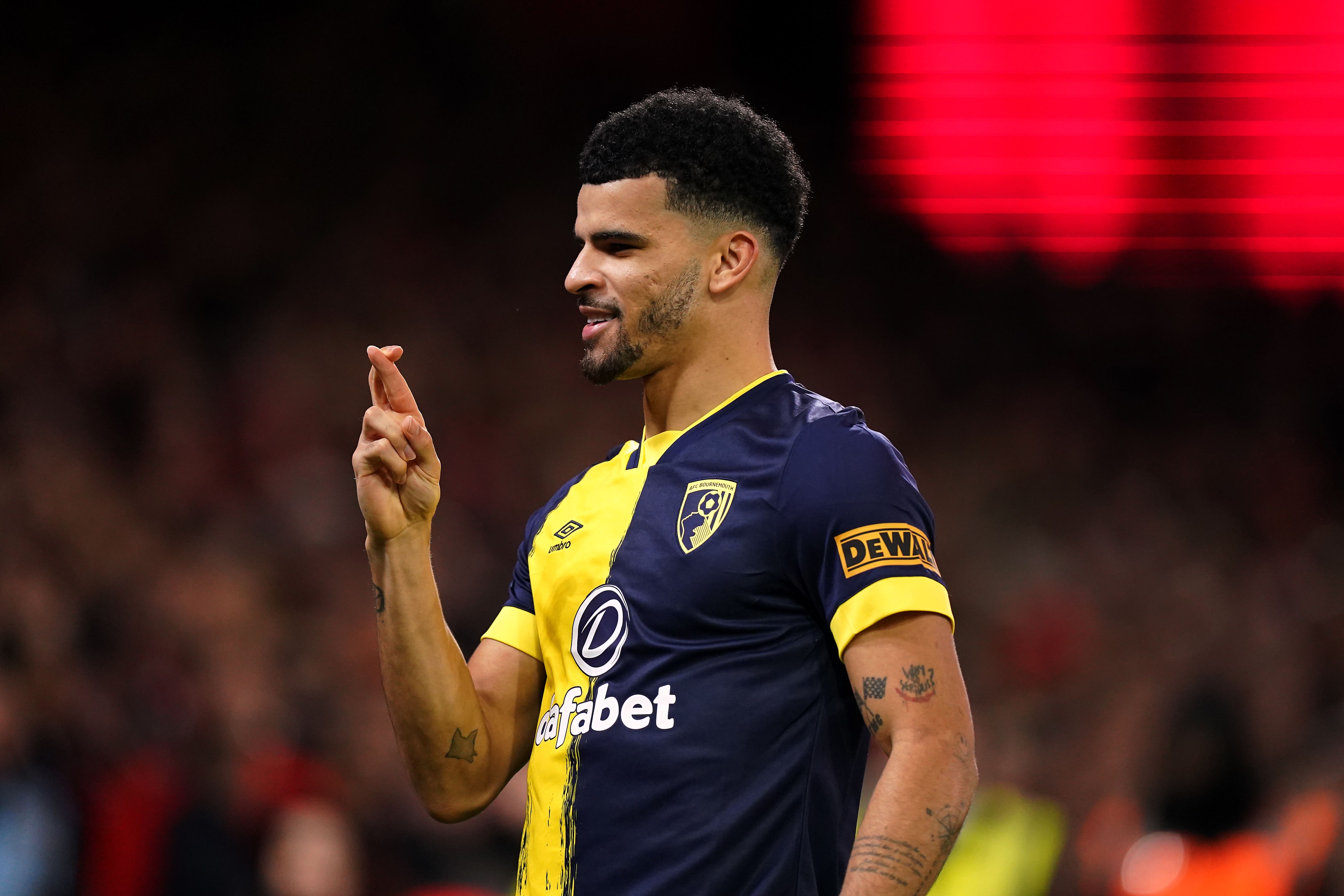 Dominic Solanke can help push Tottenham into top four – Les Ferdinand