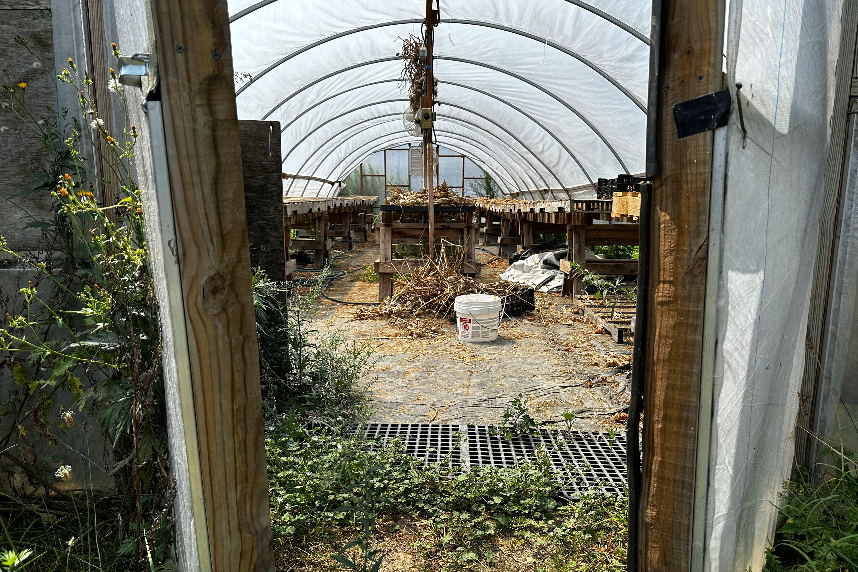 Gardening-A Seed Surprise