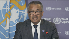 Watch live: World Health Organisation gives monkeypox update after surge in cases