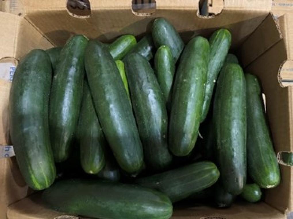 More than 400 people have become sick after consuming cucumbers believed to be linked to products recalled by the Food and Drug Administration earlier this year