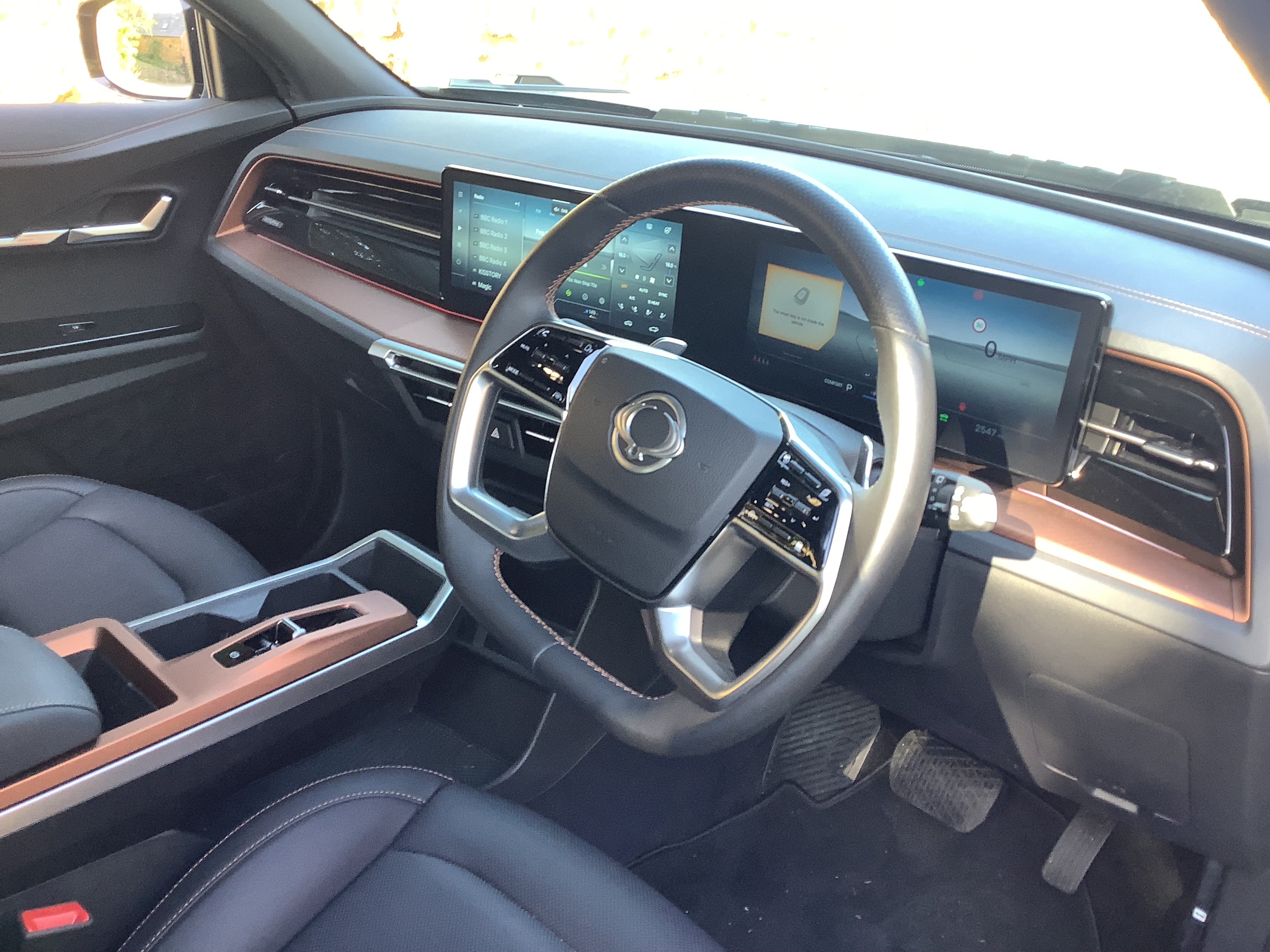 The Torres EVX has a heated steering wheel and twin 12.3-inch display screens