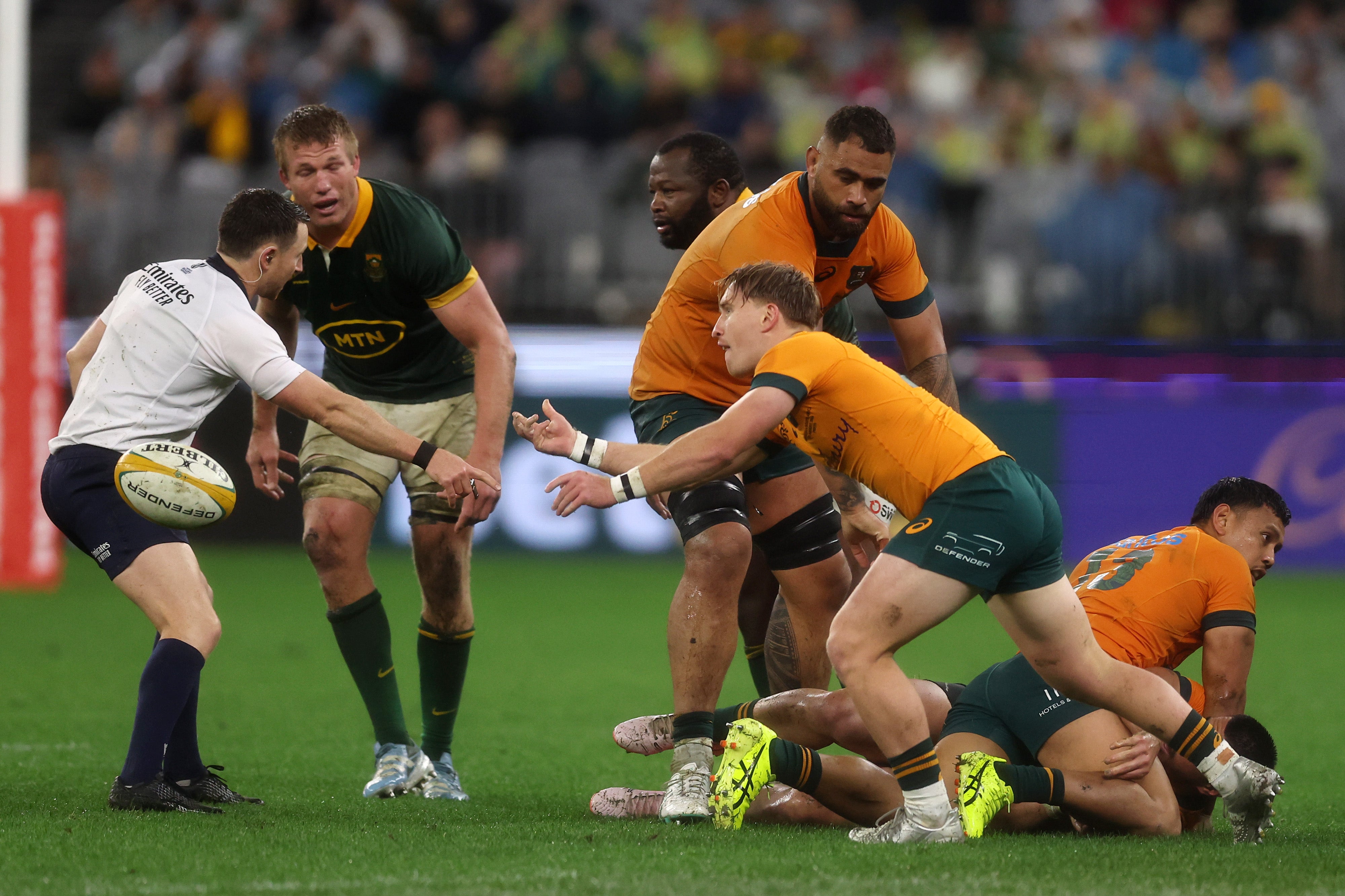 South Africa have been in impressive form in the Rugby Championship