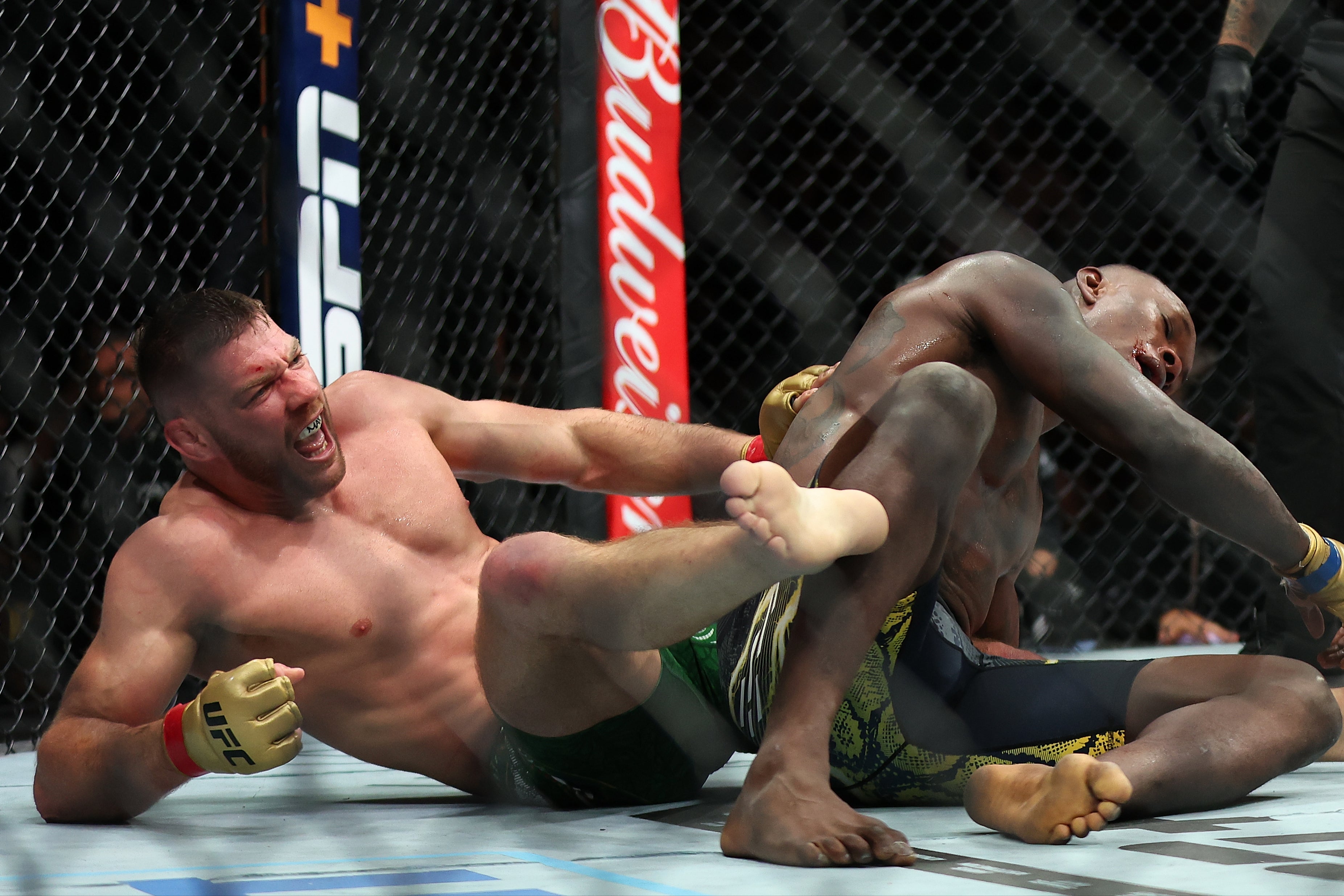 Dricus Du Plessis (left) celebrates submitting Israel Adesanya at UFC 305