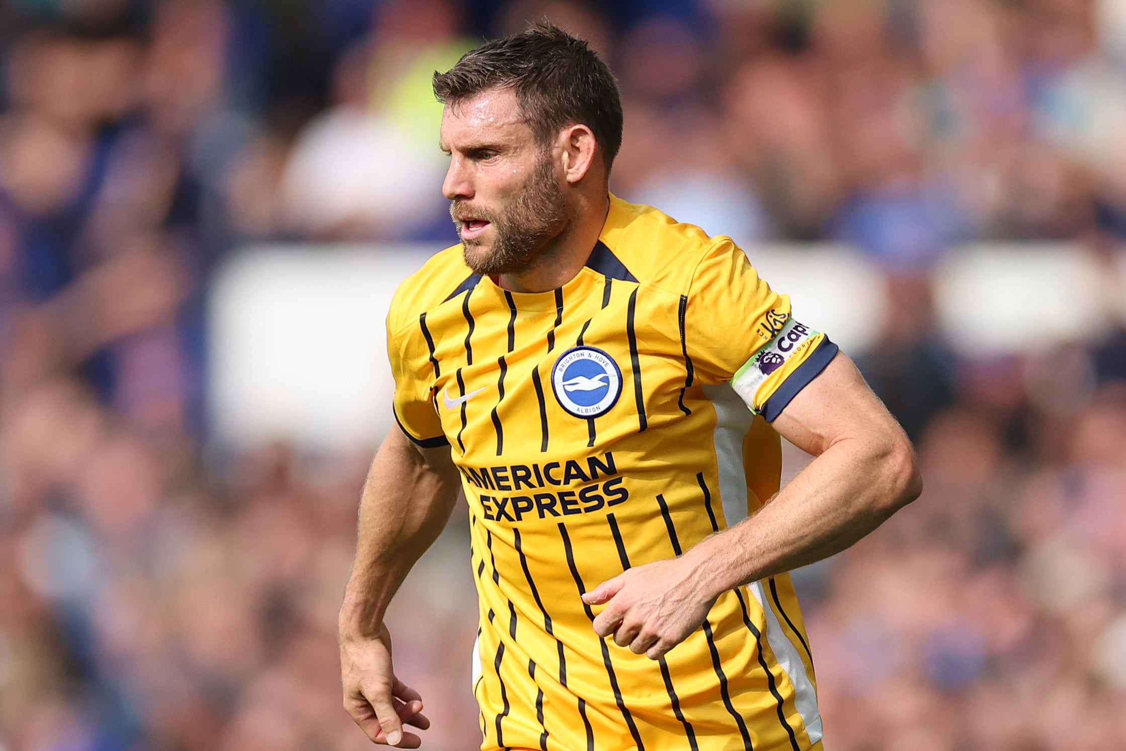 James Milner played a starring role for Brighton in midfield