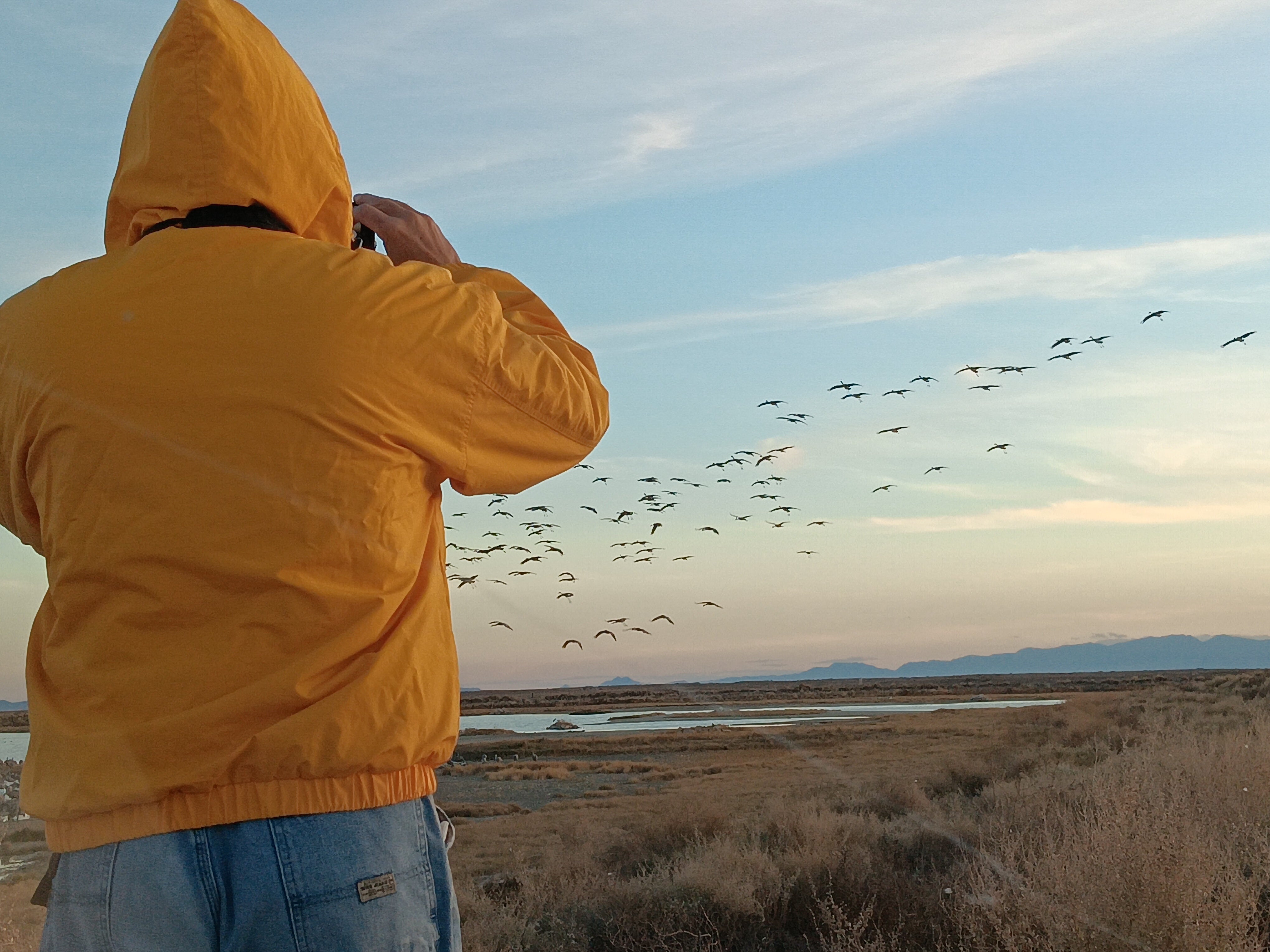 Birdwatching at Wilcox Playa Wildlife Area