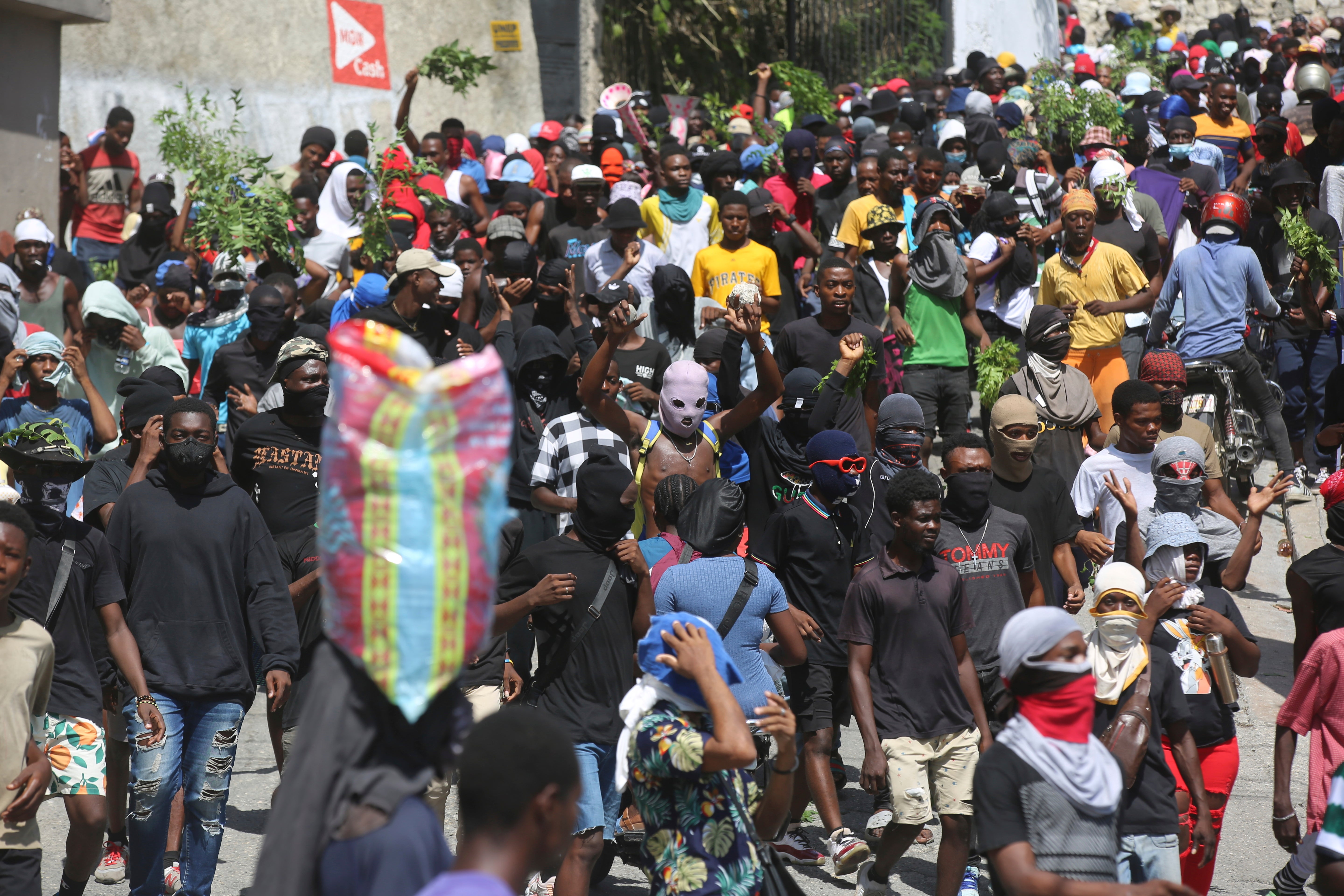 Haiti Protest