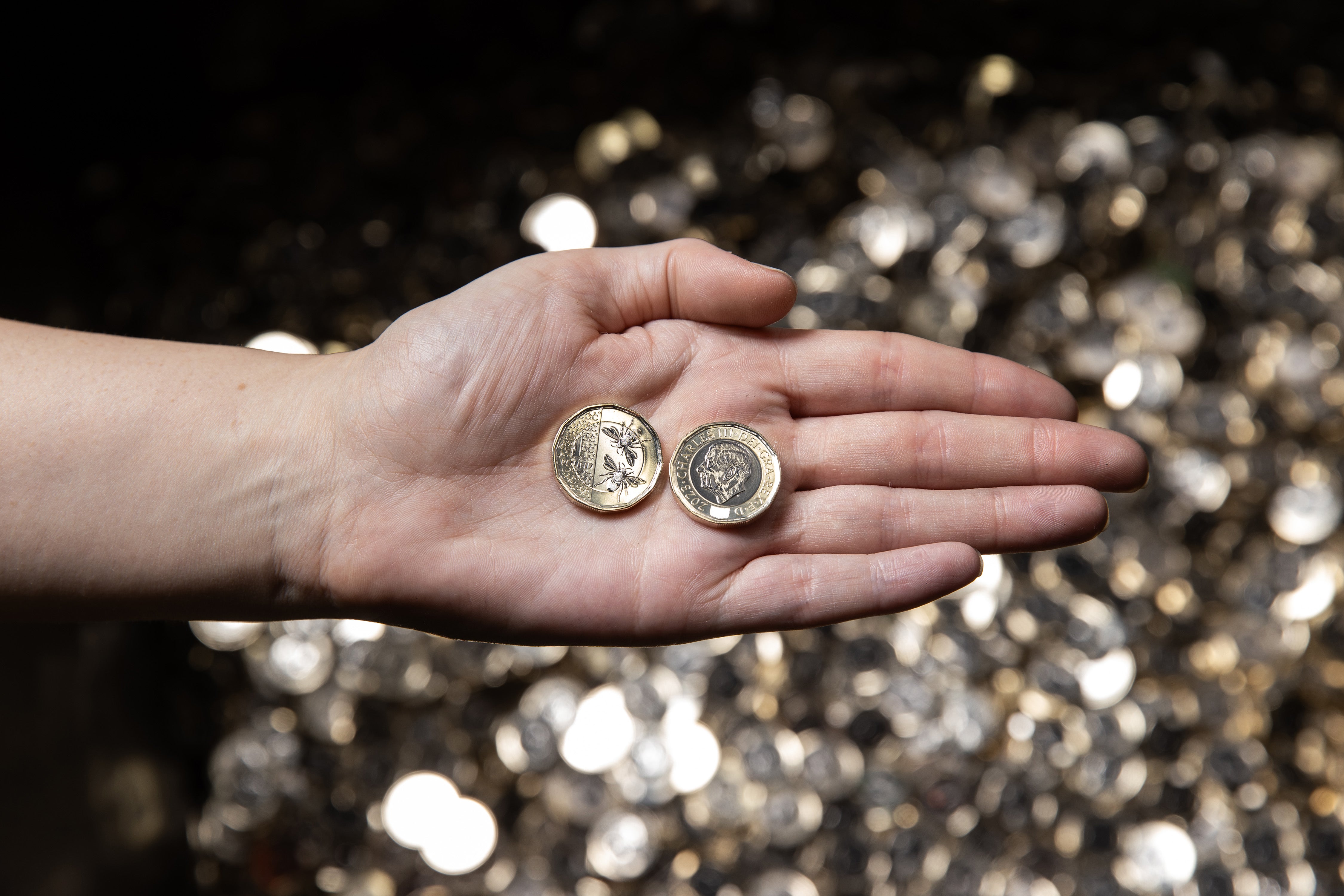 The new £1 coin which is now in circulation (Royal Mint/PA)