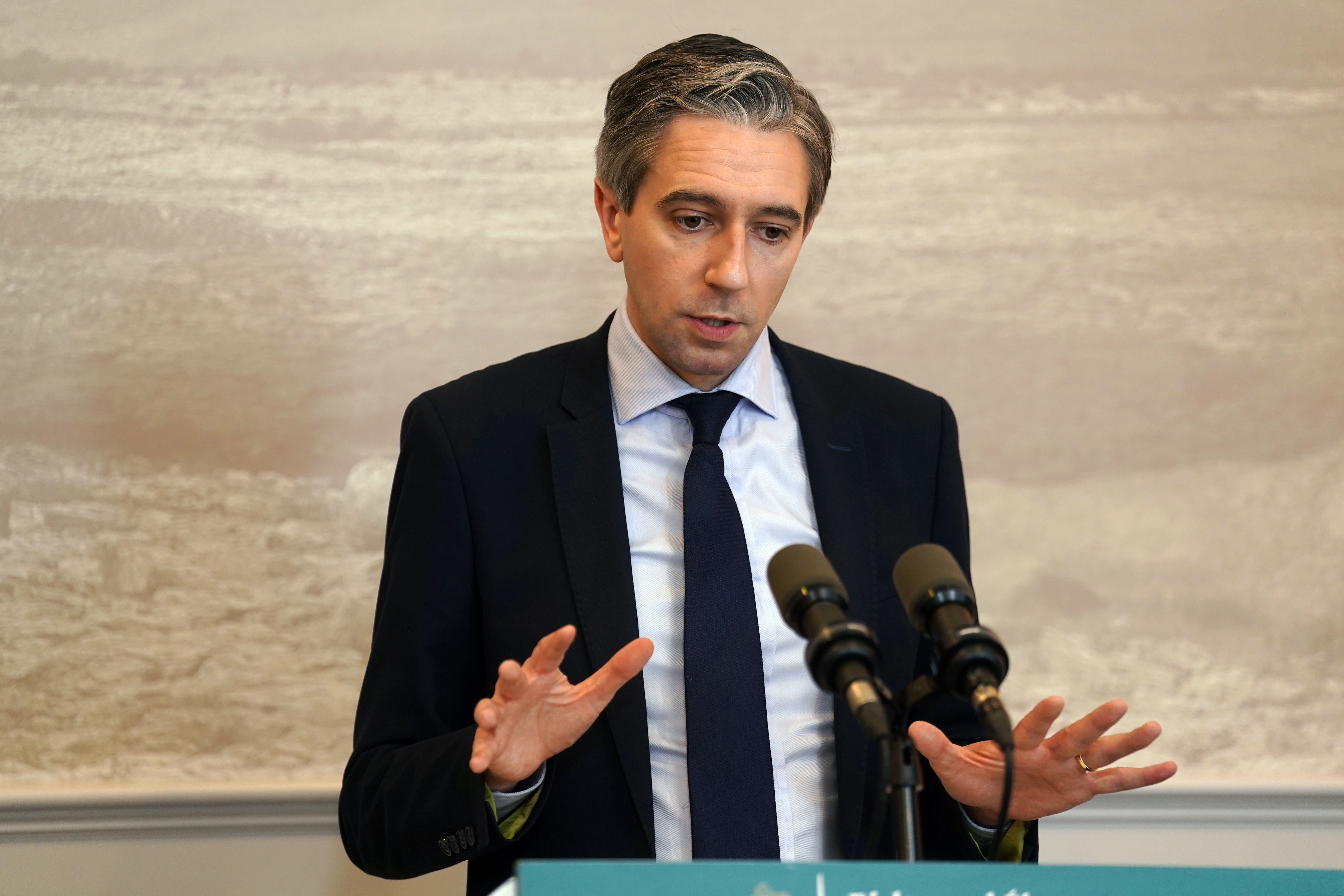 Simon Harris called for an urgent review of the EU-Israel Association Agreement (Brian Lawless/PA)