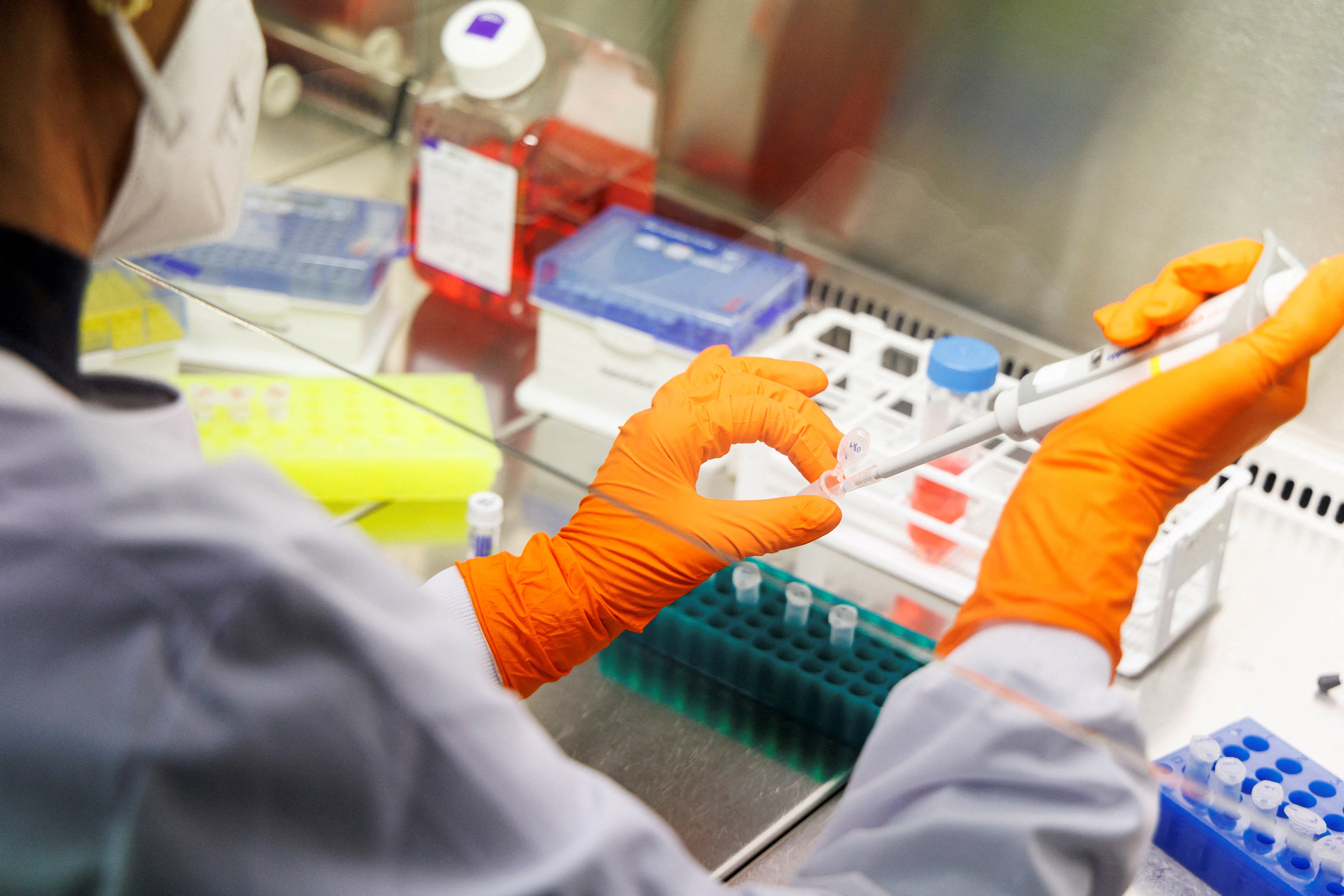 An employee of the vaccine company Bavarian Nordic works in a laboratory of the company in Martinsried near Munich, Germany