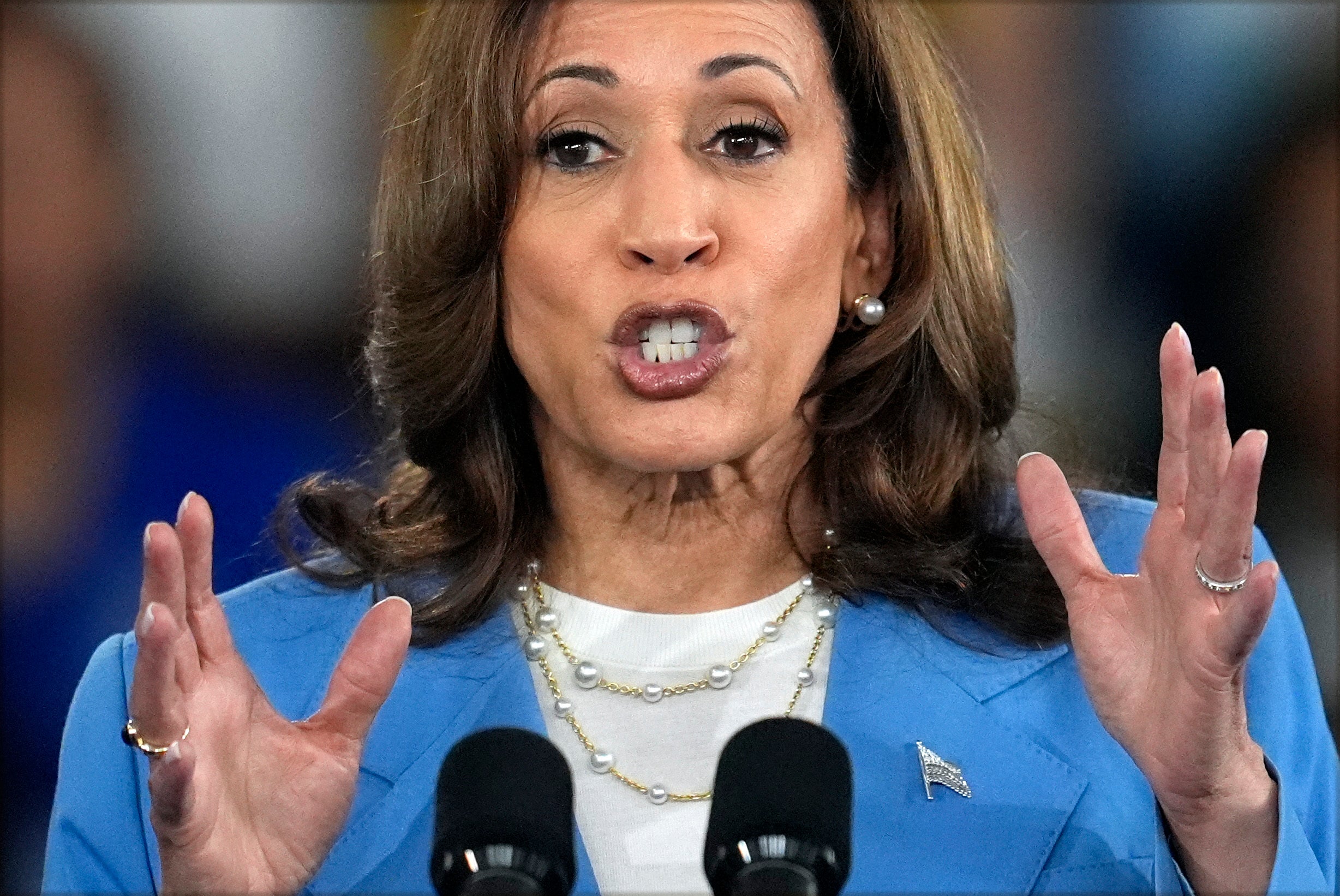 Election 2024 Harris