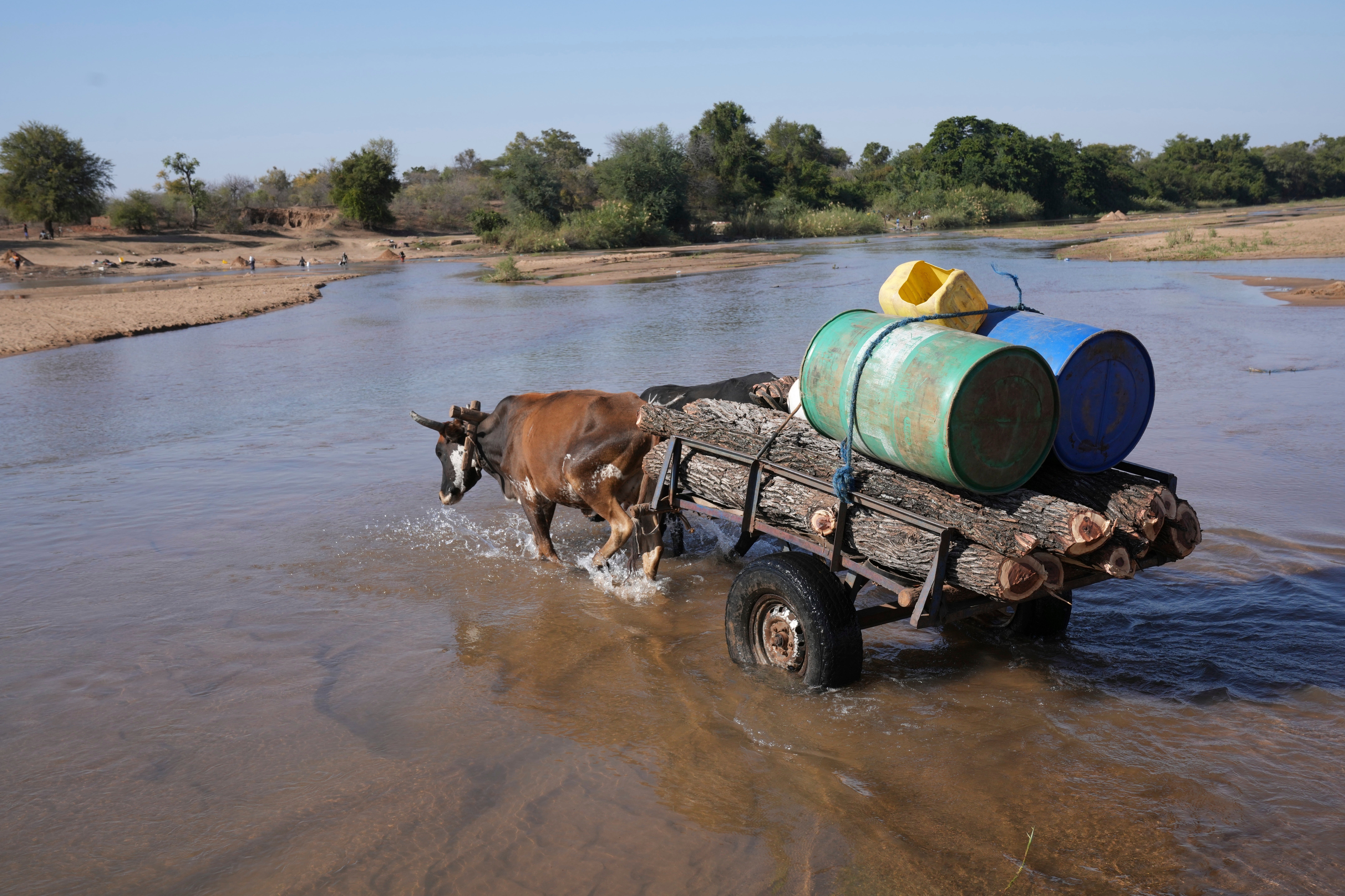 Zimbabwe Wildlife Former Poacher
