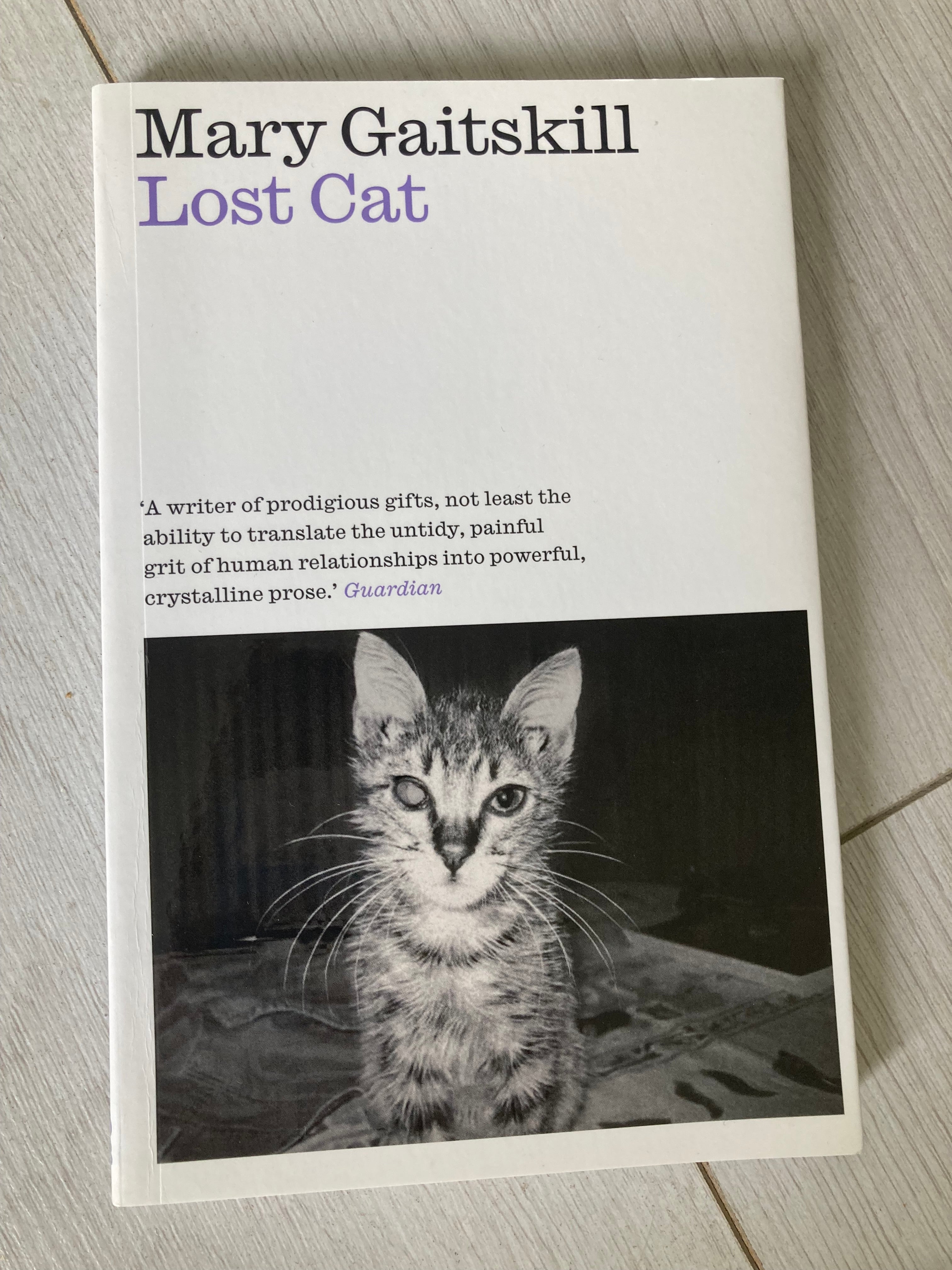 Mary Gaitskill’s memoir about her missing cat