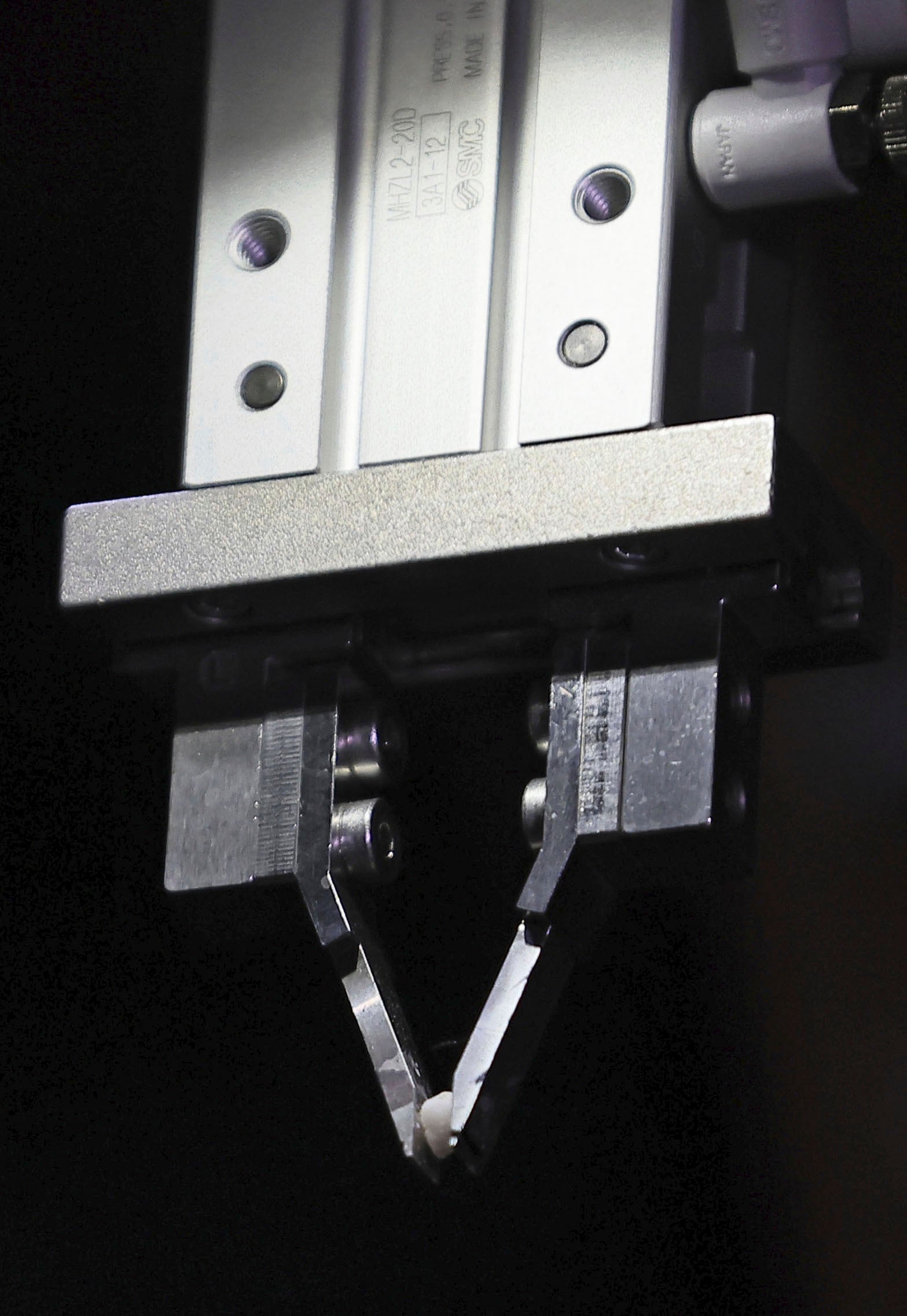 Japan Nuclear Fukushima