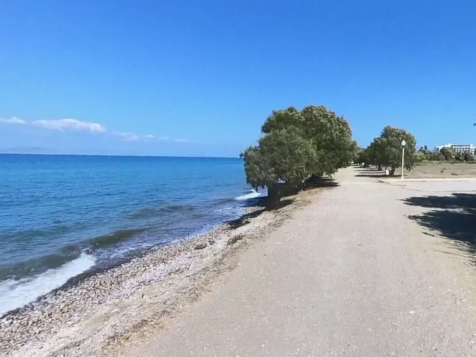 The holidaymaker vanished after swimming at Theologos beach, Rhodes