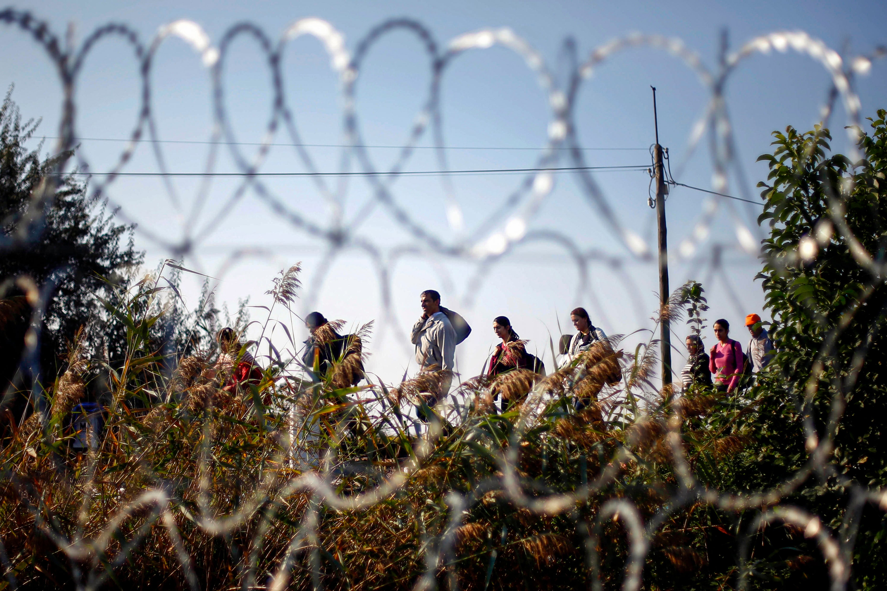 Migrants arrive at the Hungarian border fence between Serbia and Hungary